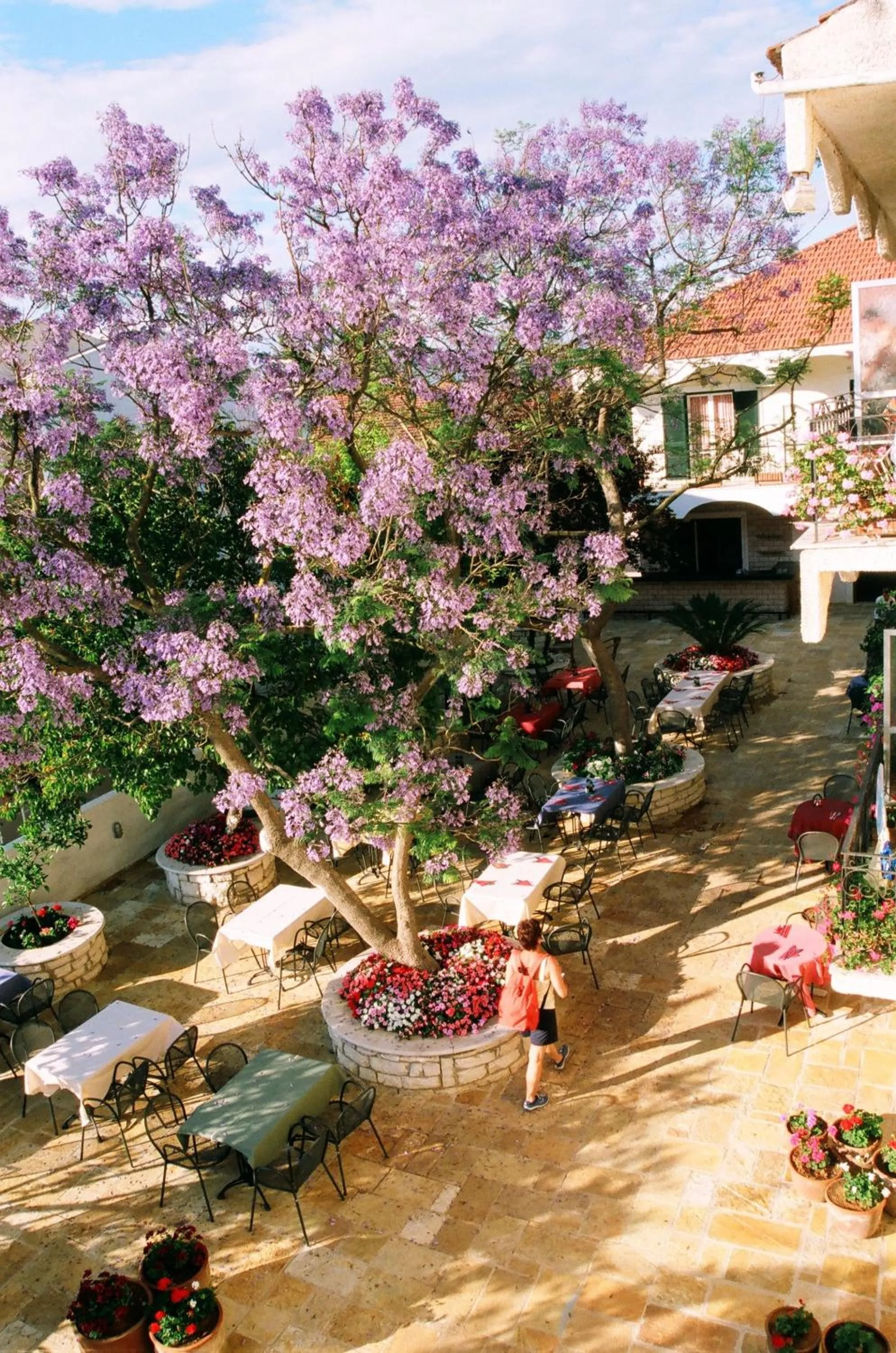 Restaurant/places to eat in Marie Hotel