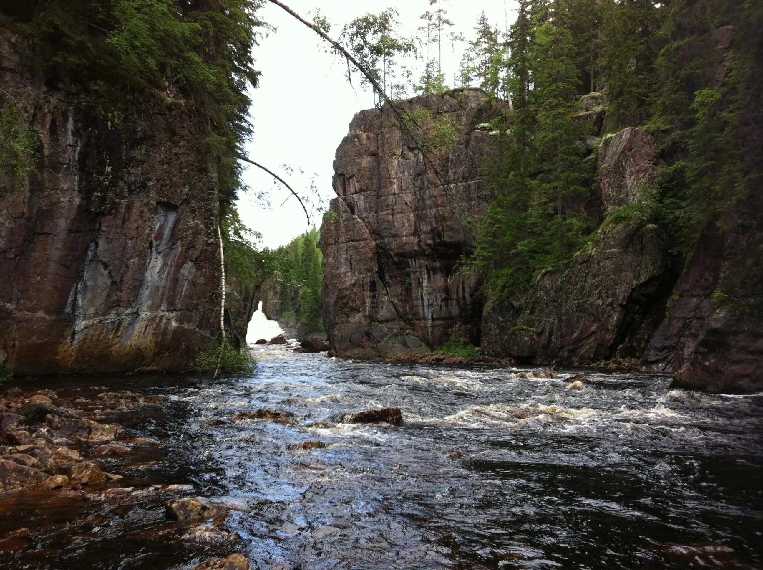 Area and facilities in Prinsgården B&B rum stugor