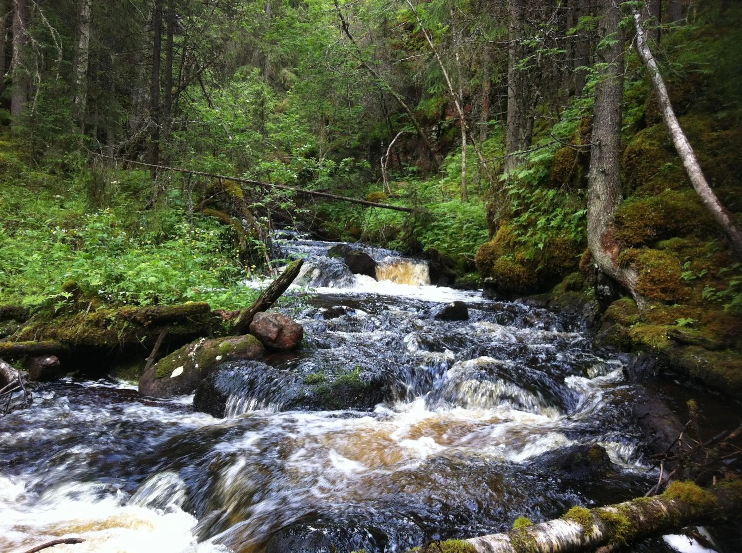 Area and facilities in Prinsgården B&B rum stugor