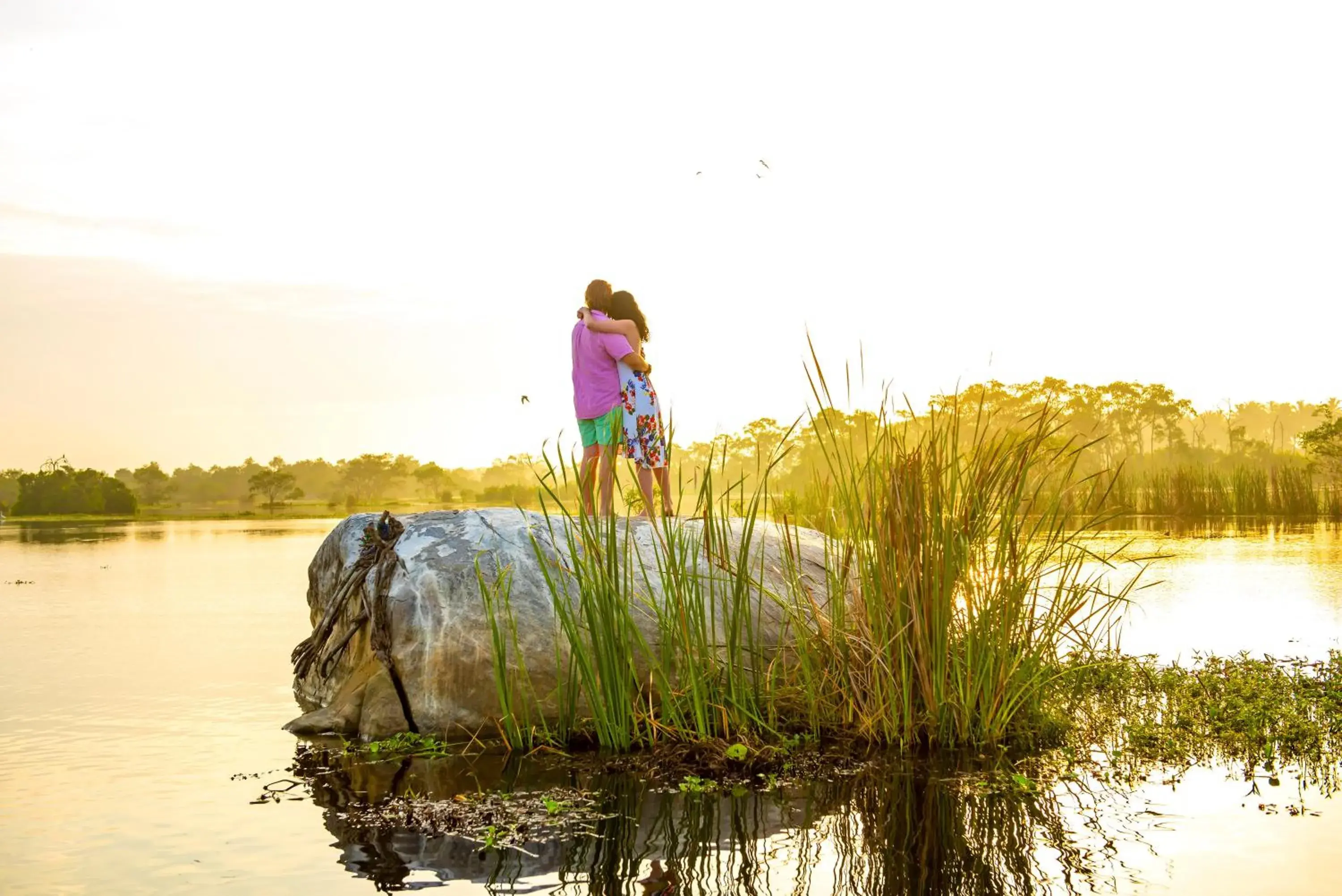 Property building in Ravana Garden Property building in Ravana Garden