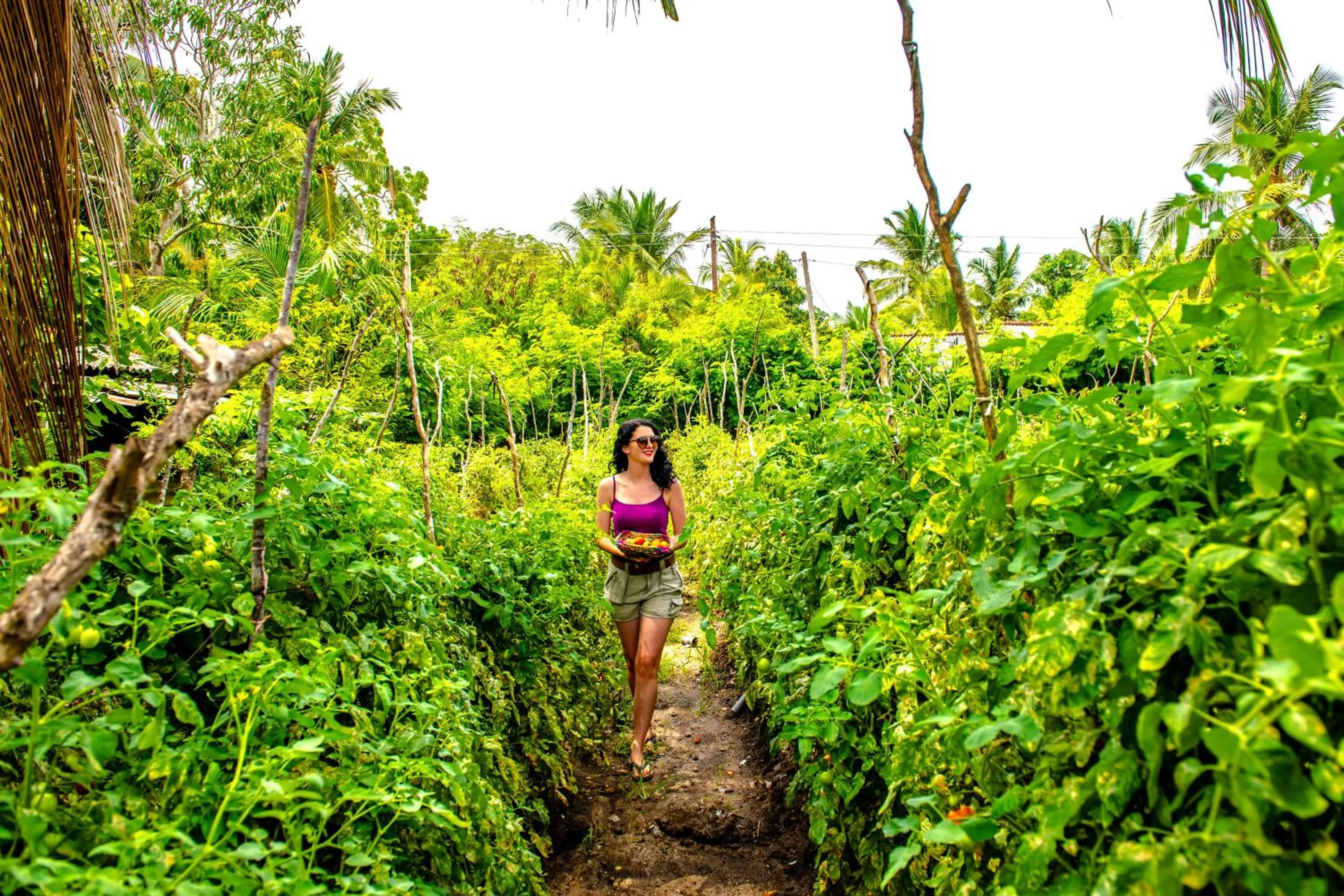 Area and facilities in Ravana Garden