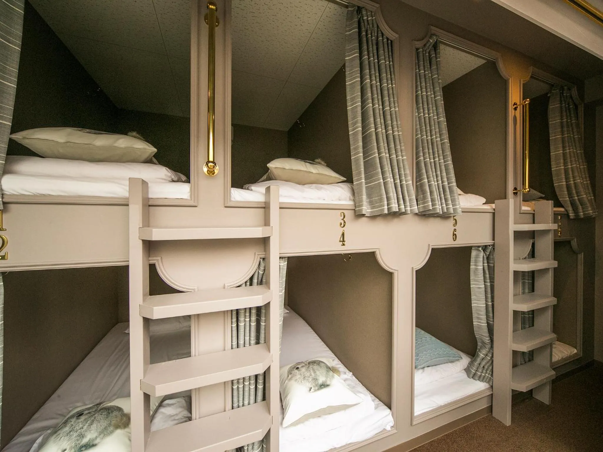 bunk bed, Bed in THE WARDROBE Hotel Shimokitazawa