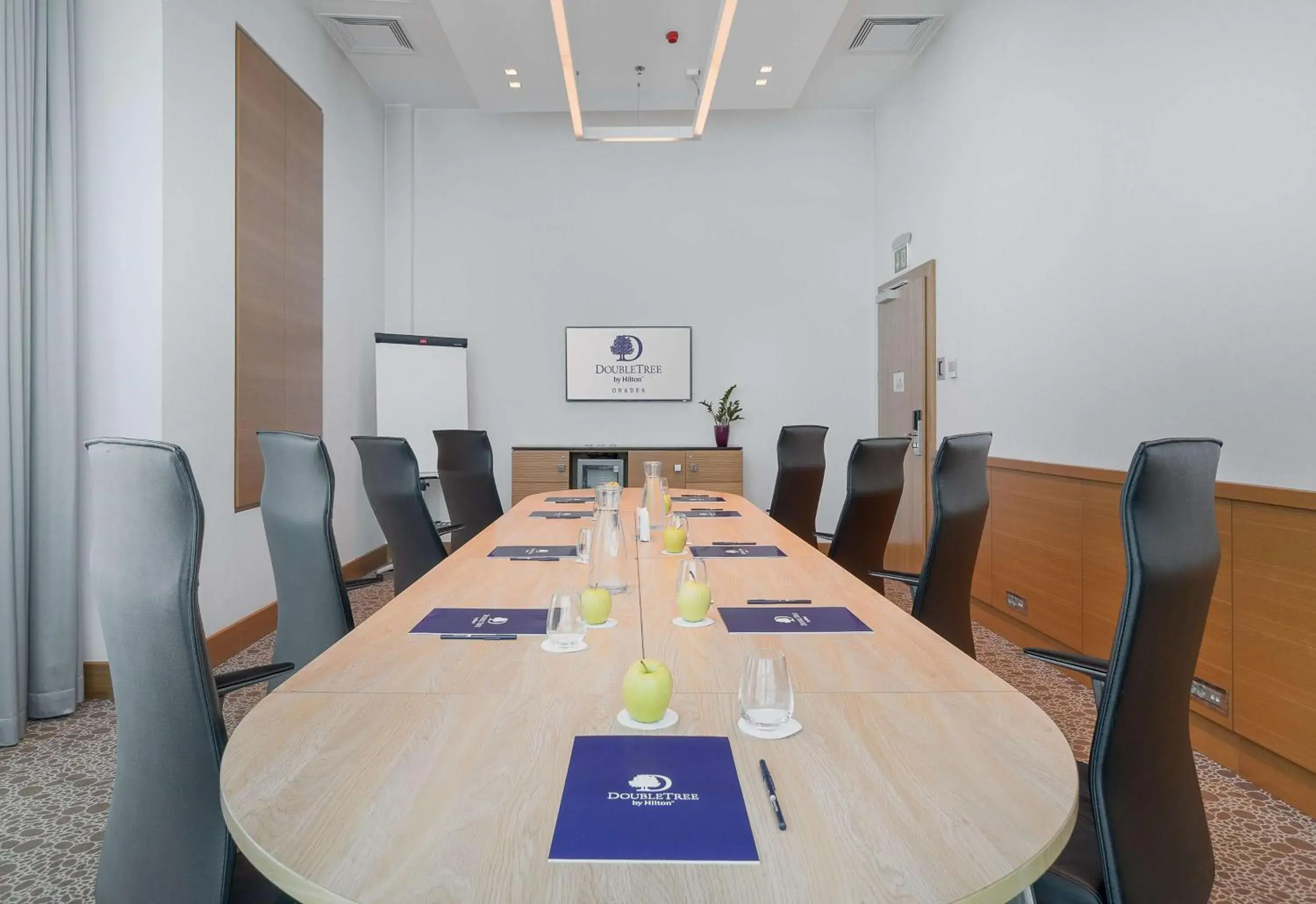Meeting/conference room in DoubleTree by Hilton Oradea Meeting/conference room in DoubleTree by Hilton Oradea