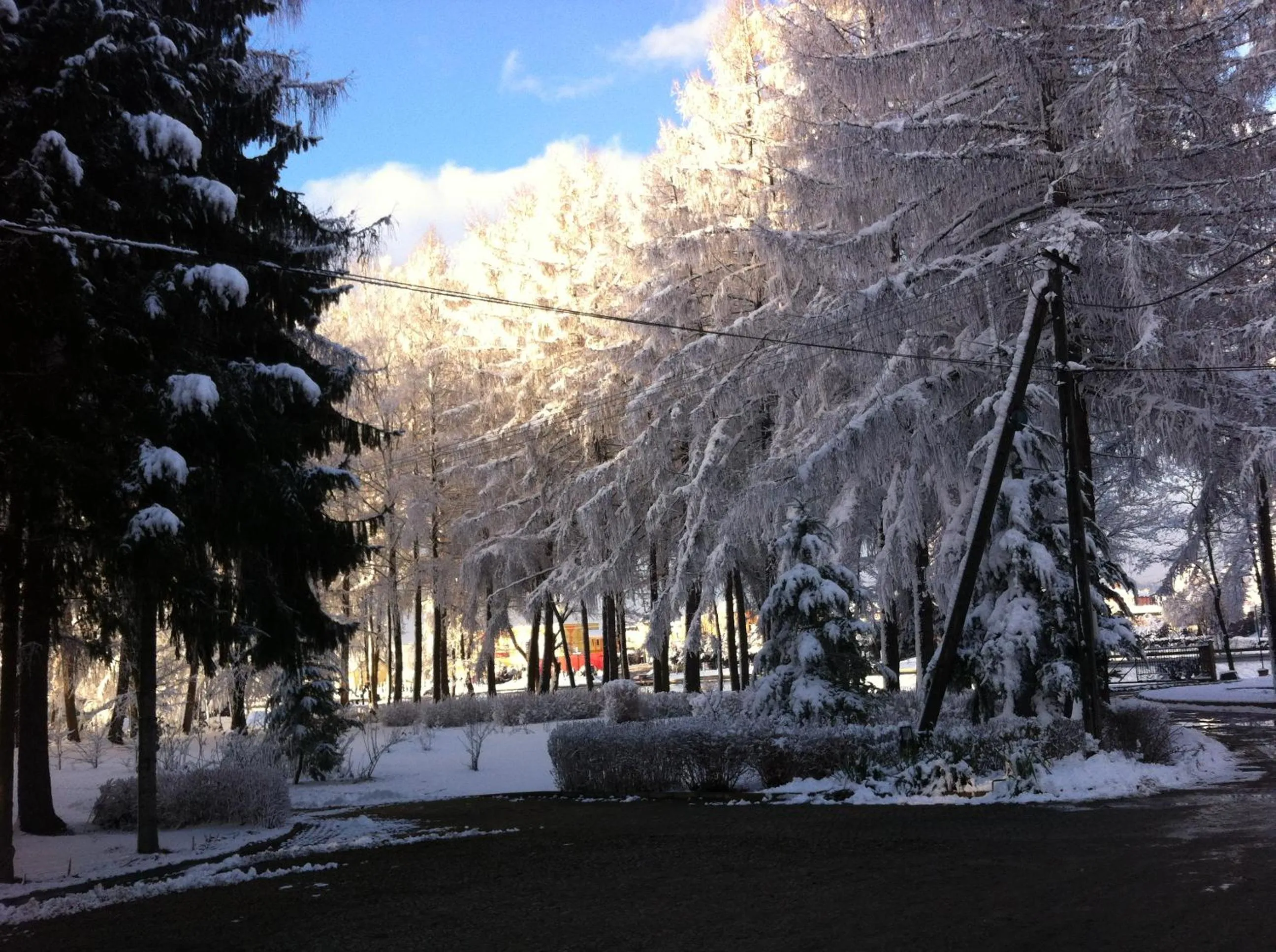 Winter in Hotel Artis
