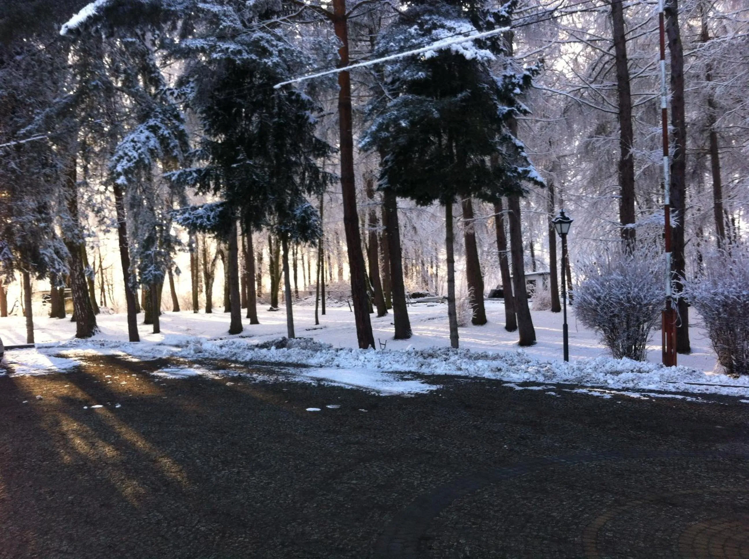 Winter in Hotel Artis