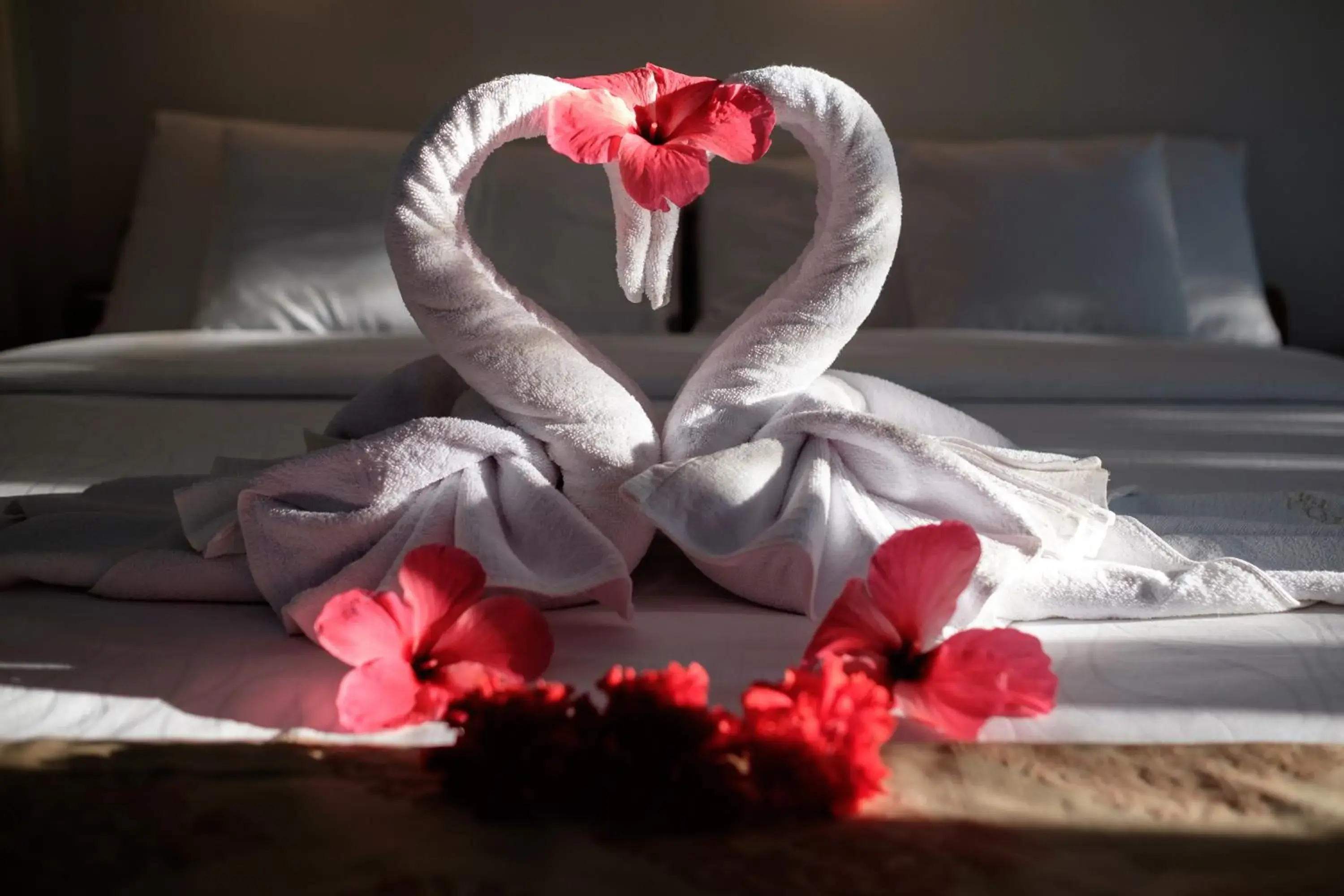 Bed in Kasai Village Dive Resort Bed in Kasai Village Dive Resort