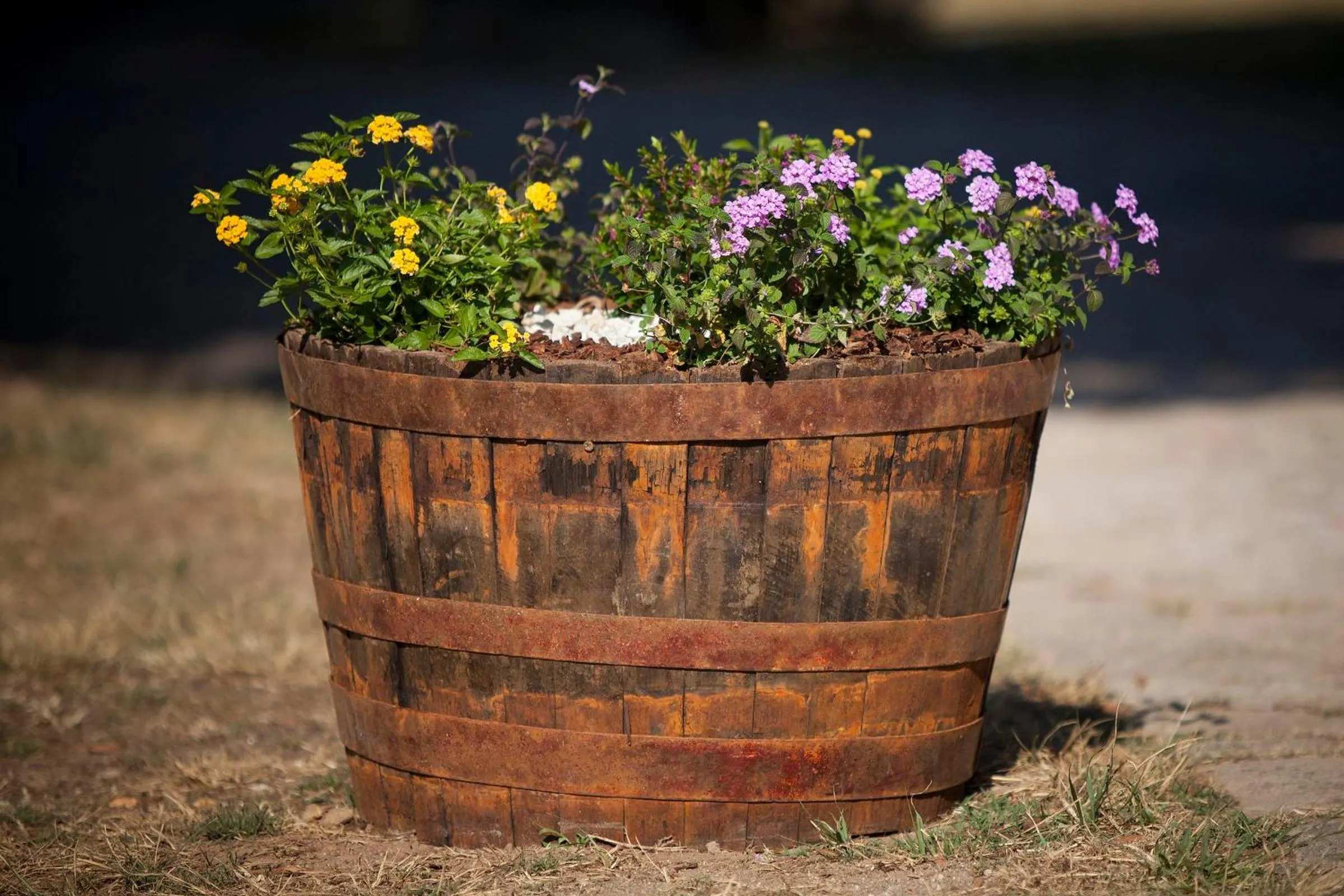 Facade/entrance in Aldeamento Turístico do Camarido, Nature & Beach Resort