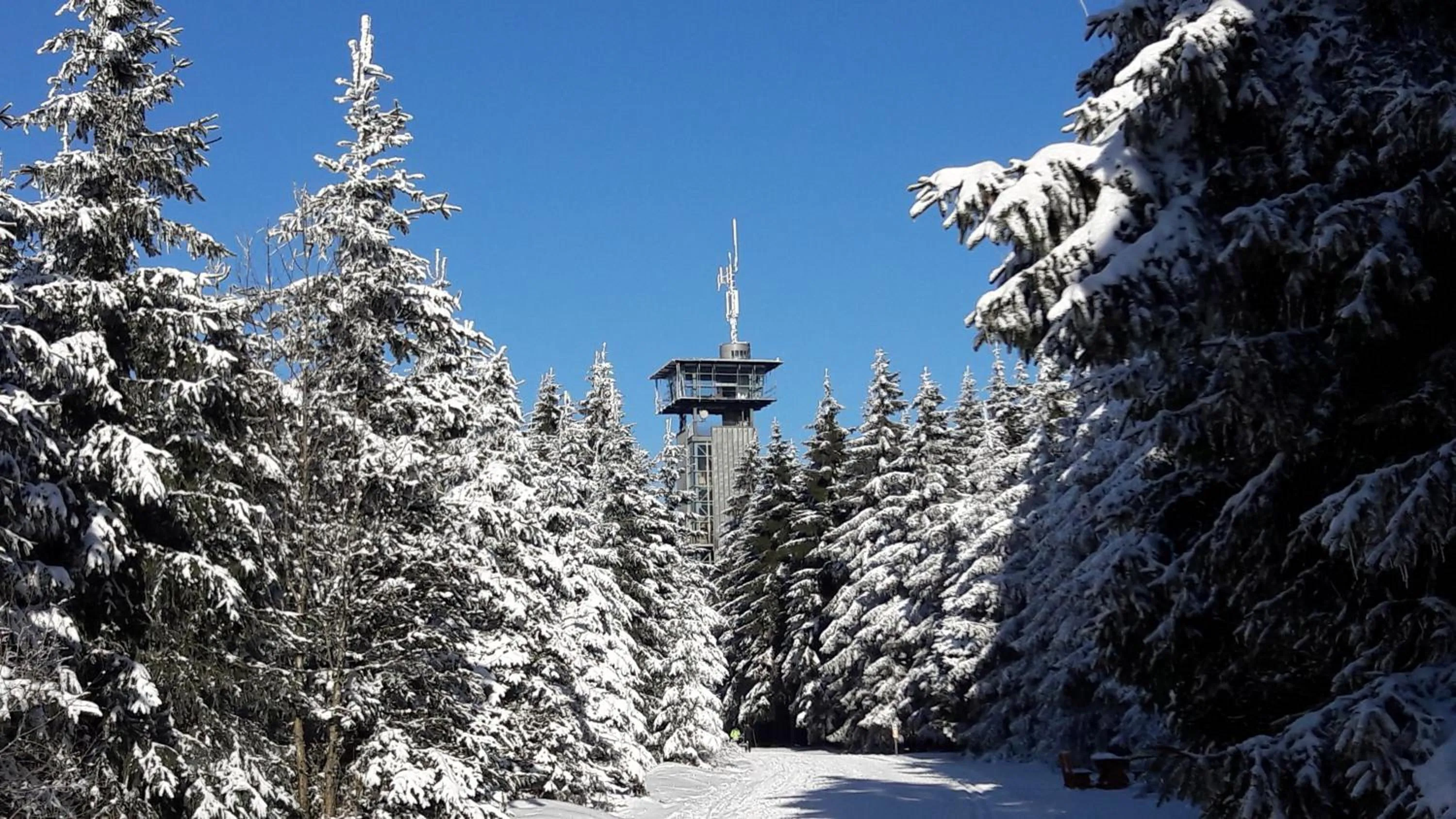 Winter in Panoramaferienwohnung Bergwiese