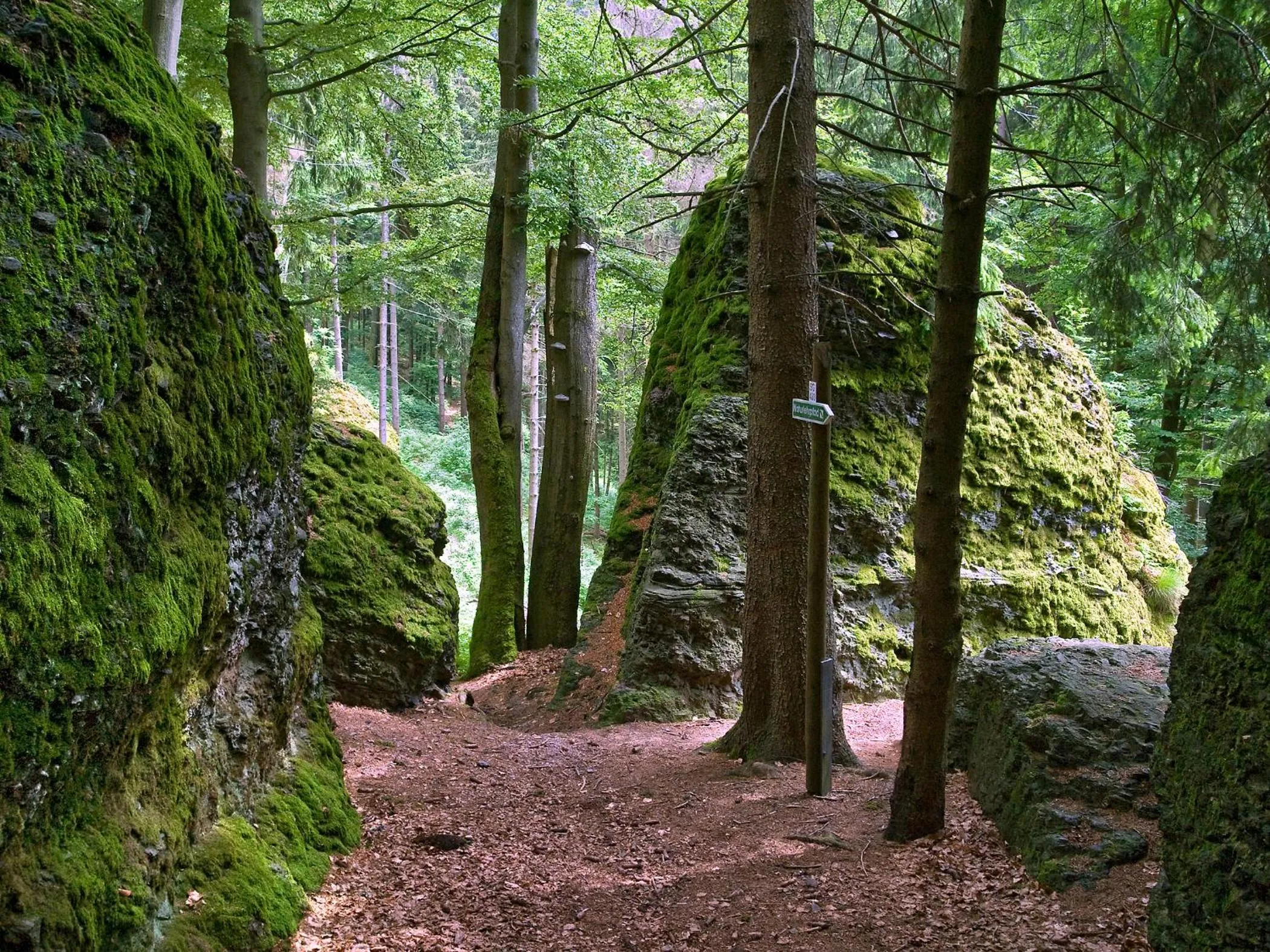 Nearby landmark in Panoramaferienwohnung Bergwiese