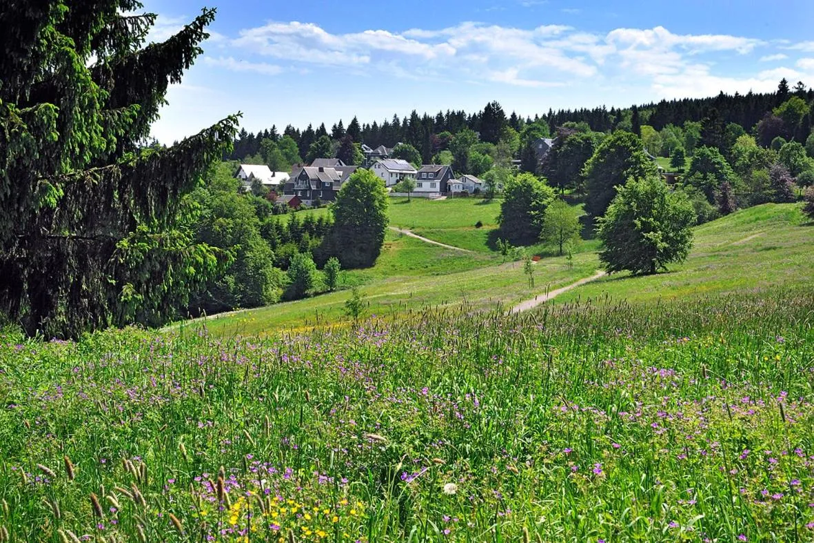 Natural landscape in Panoramaferienwohnung Bergwiese