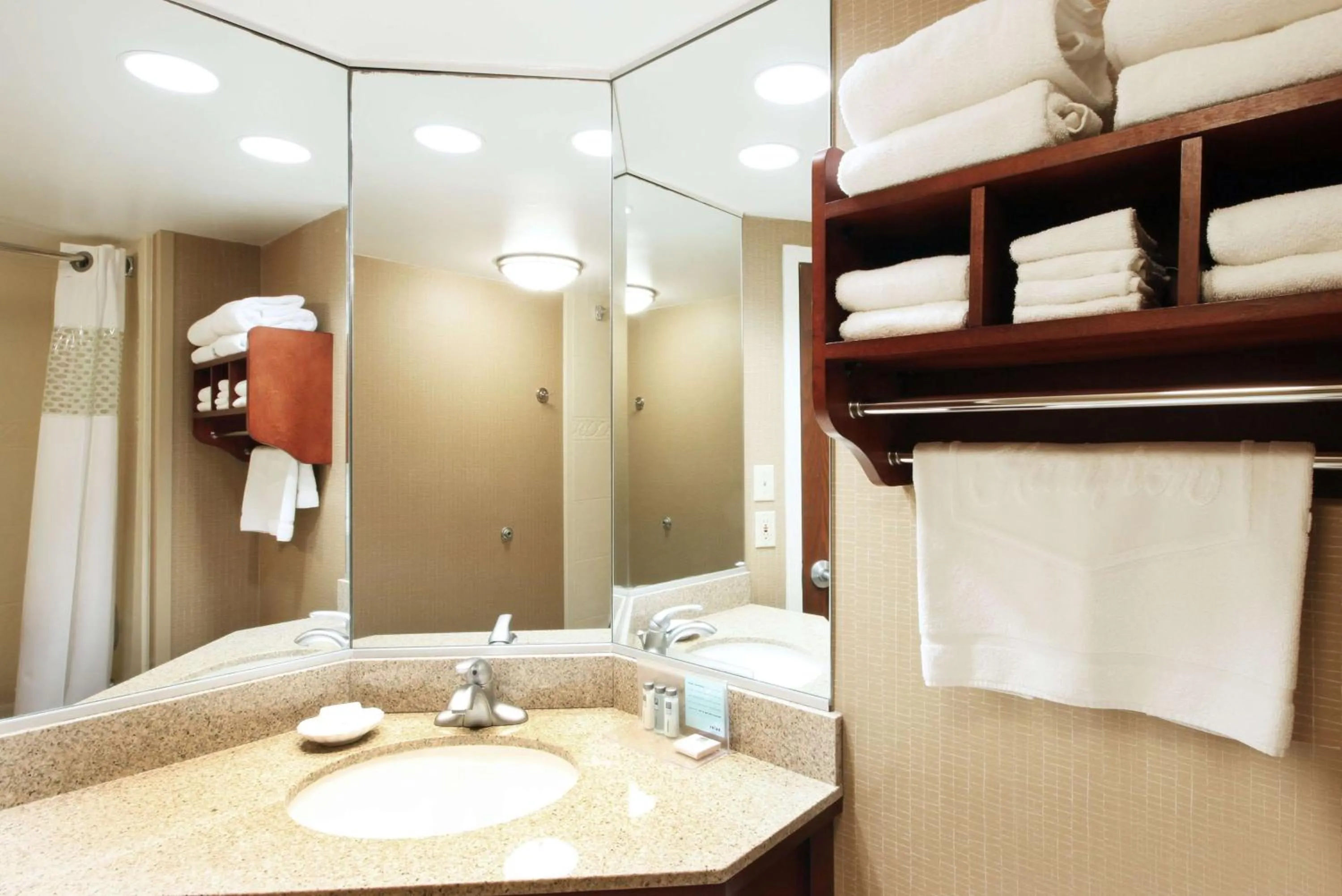 Bathroom in Hampton Inn by Hilton Indianapolis-South