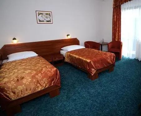Twin Room - single occupancy in Hotel Salamandra Twin Room - single occupancy in Hotel Salamandra