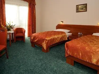 Twin Room - single occupancy in Hotel Salamandra Twin Room - single occupancy in Hotel Salamandra