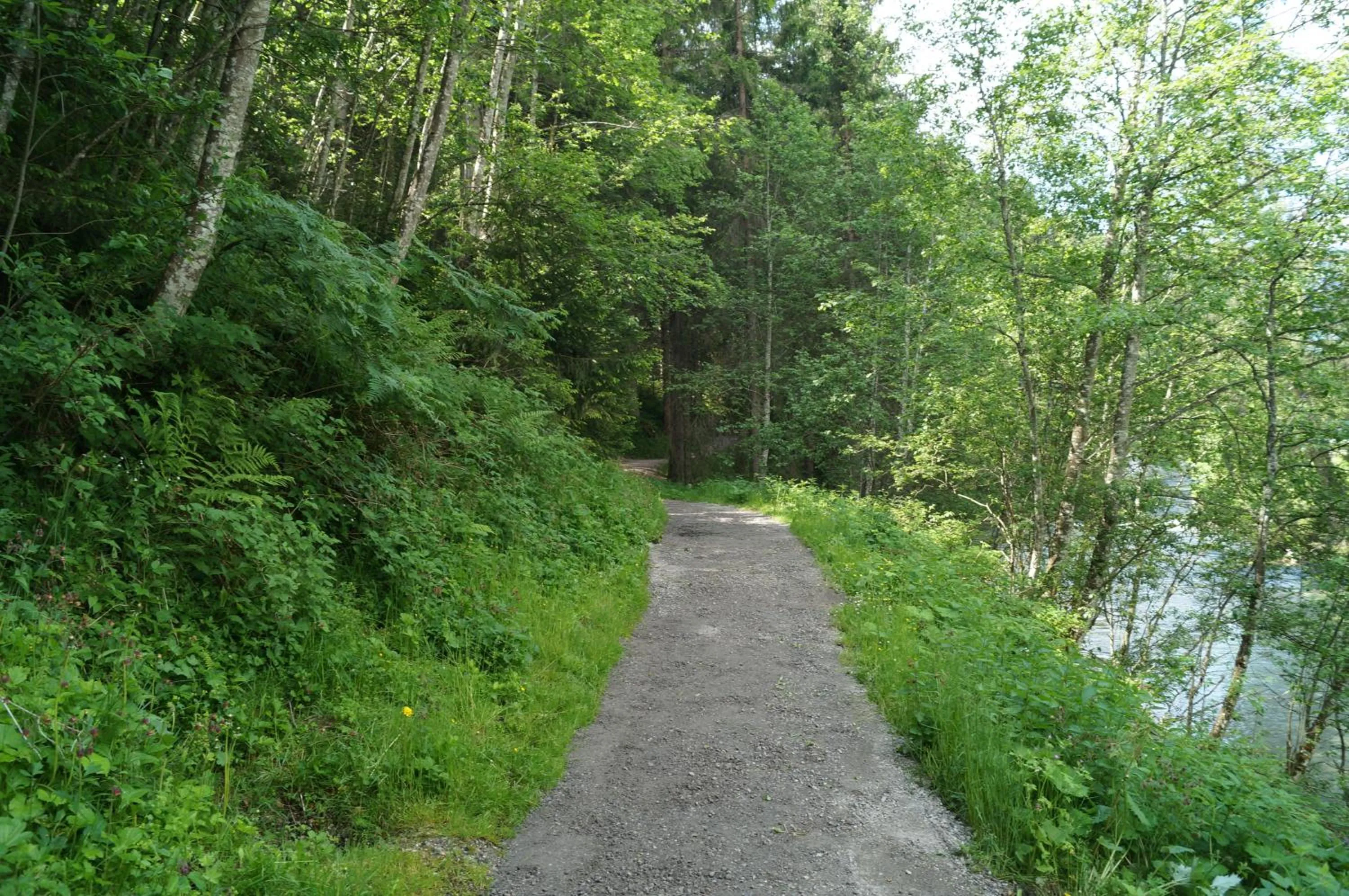 Natural landscape in Waidmannsruh Appartements