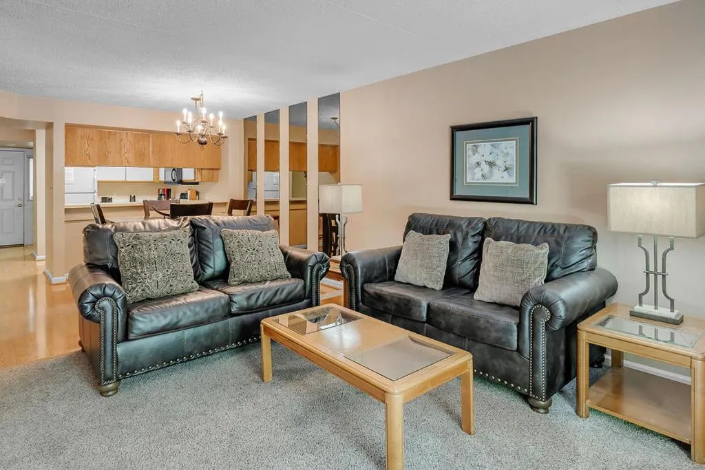 Living room in Park Place Condos
