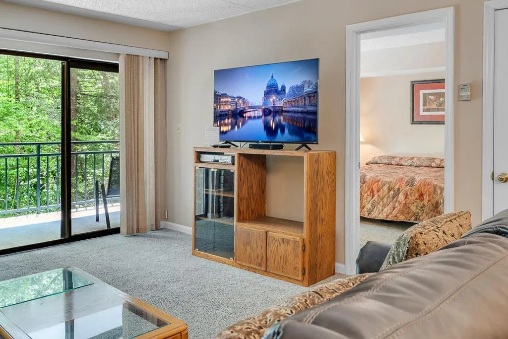 TV and multimedia in Park Place Condos