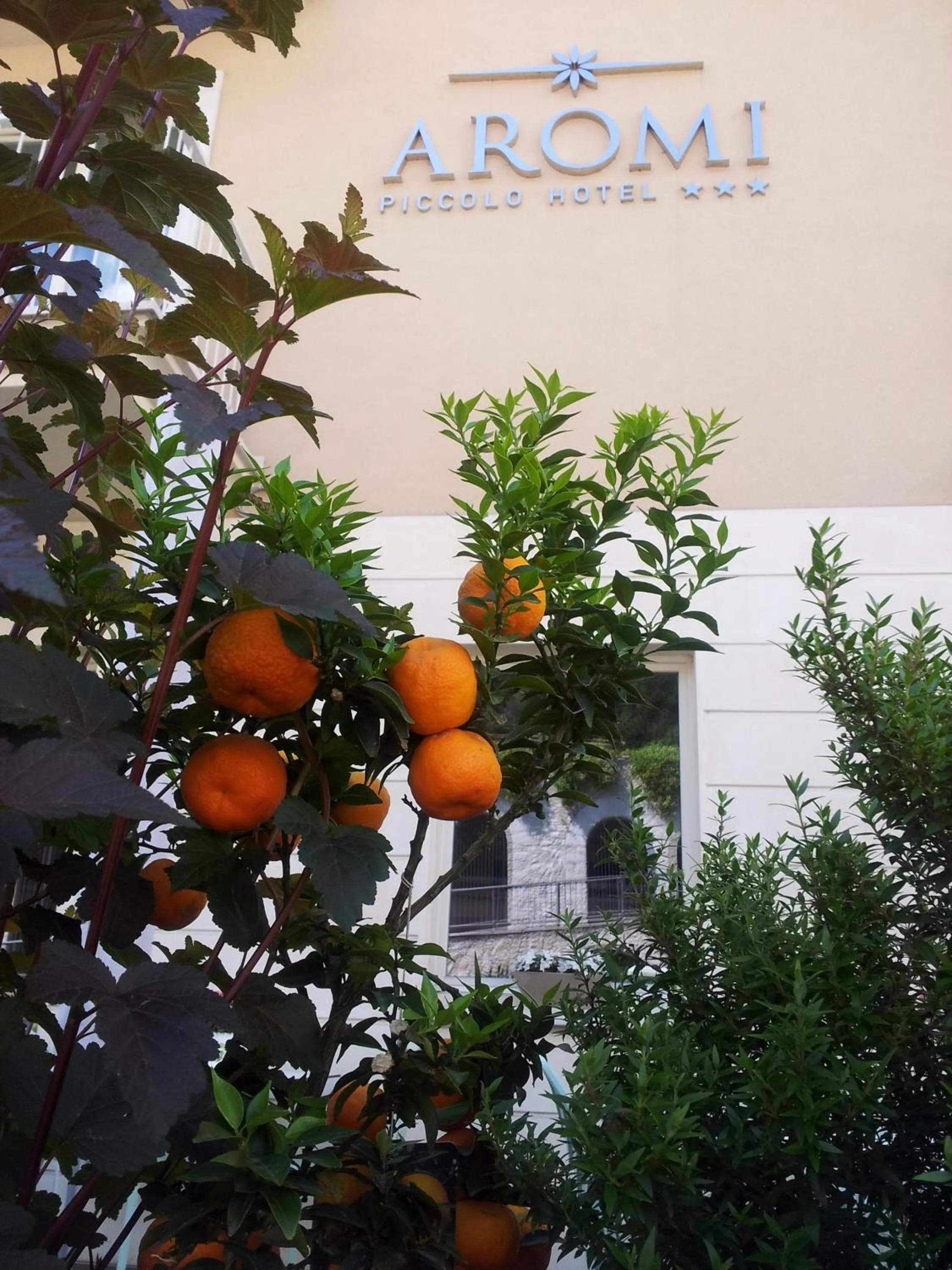 Patio in Aromi Piccolo Hotel