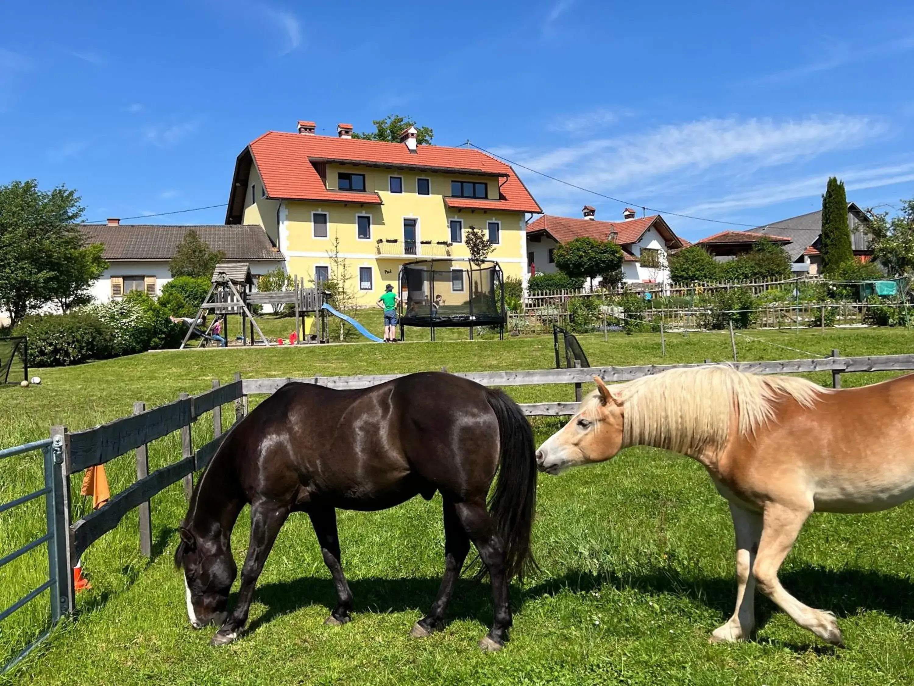 Rutarhof Rutarhof