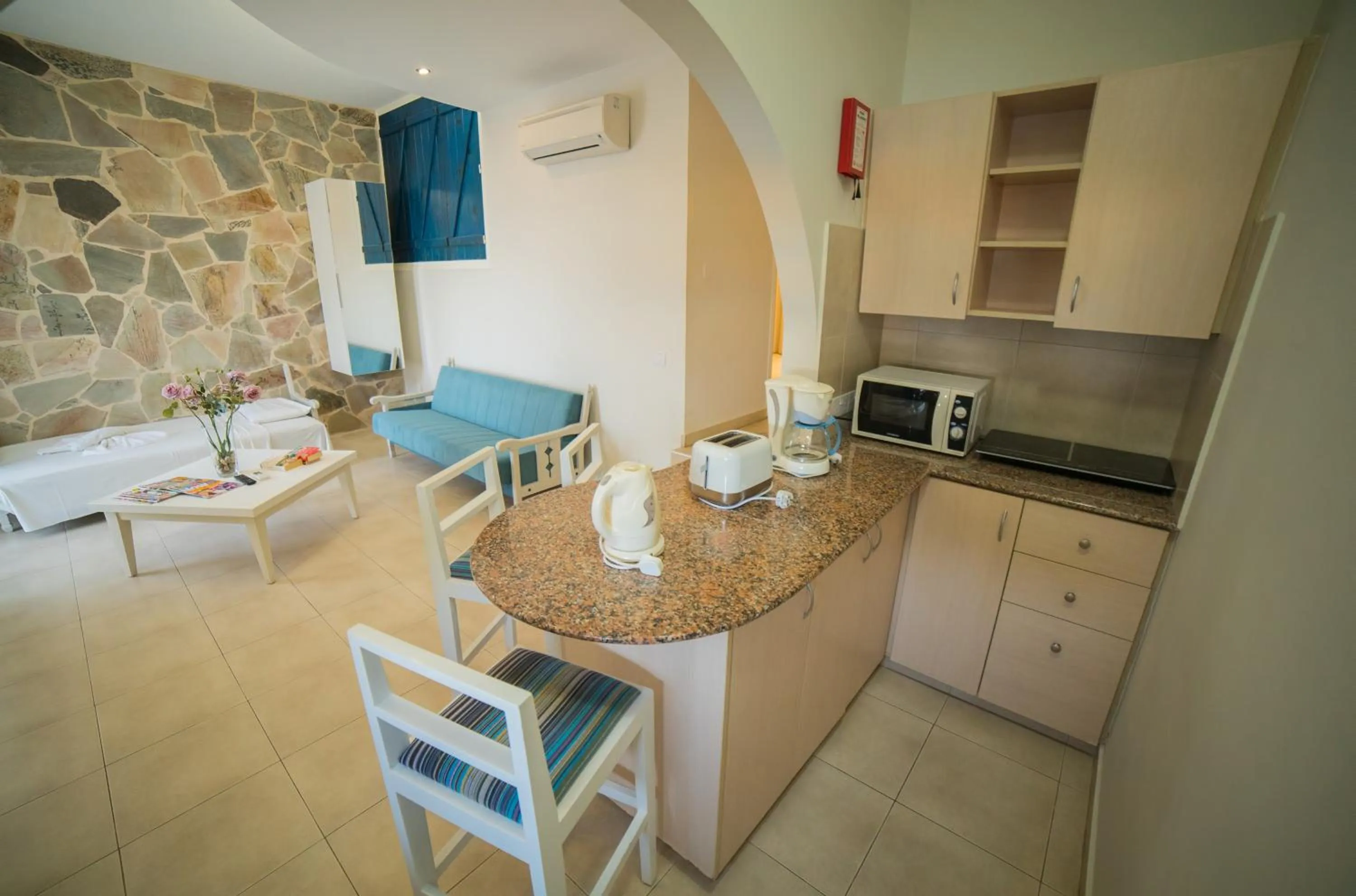 Kitchen or kitchenette in MyroAndrou Beach Hotel Apartments