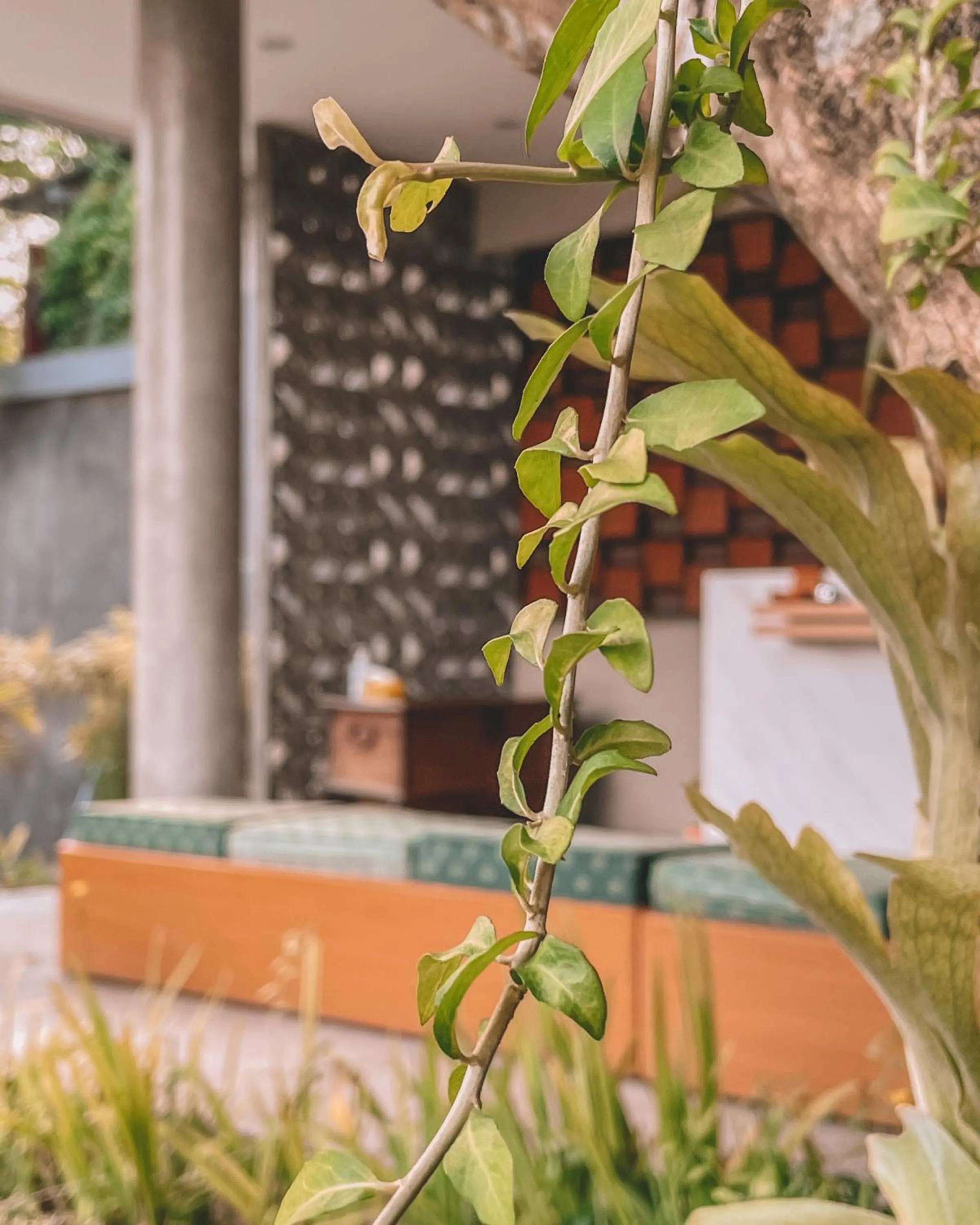 Lobby or reception in Perissos Echo Beach