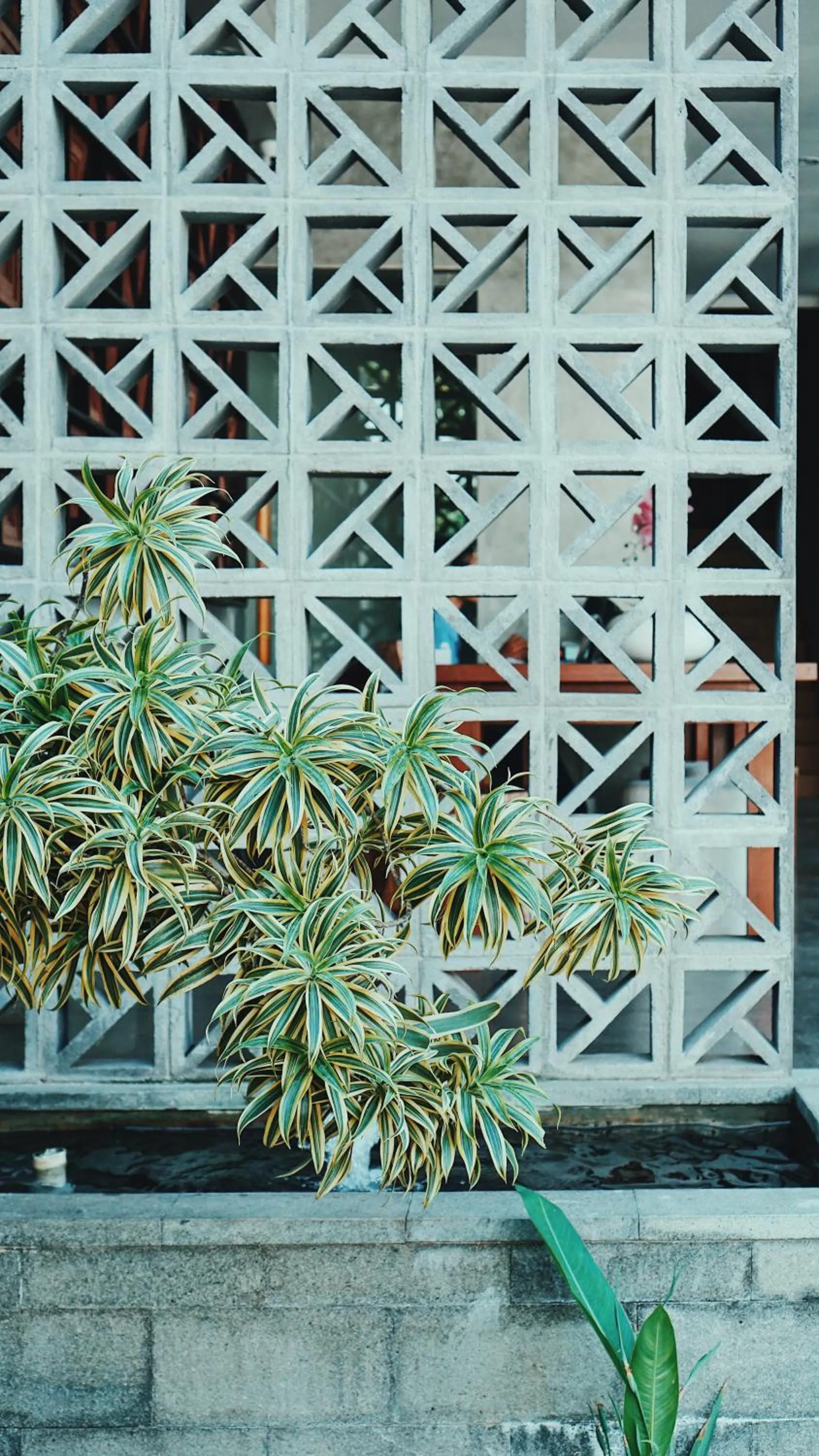 Facade/entrance in Perissos Echo Beach