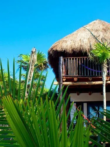 Facade/entrance in Playa Selva