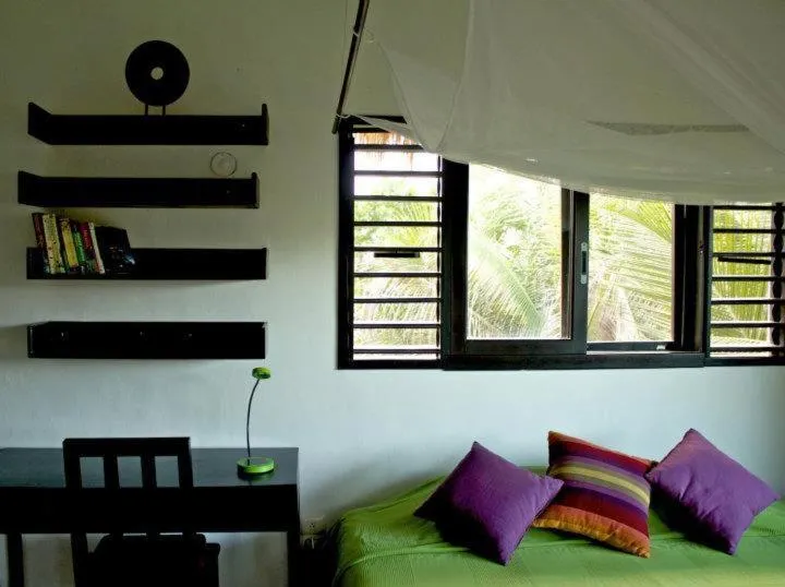 Photo of the whole room in Playa Selva