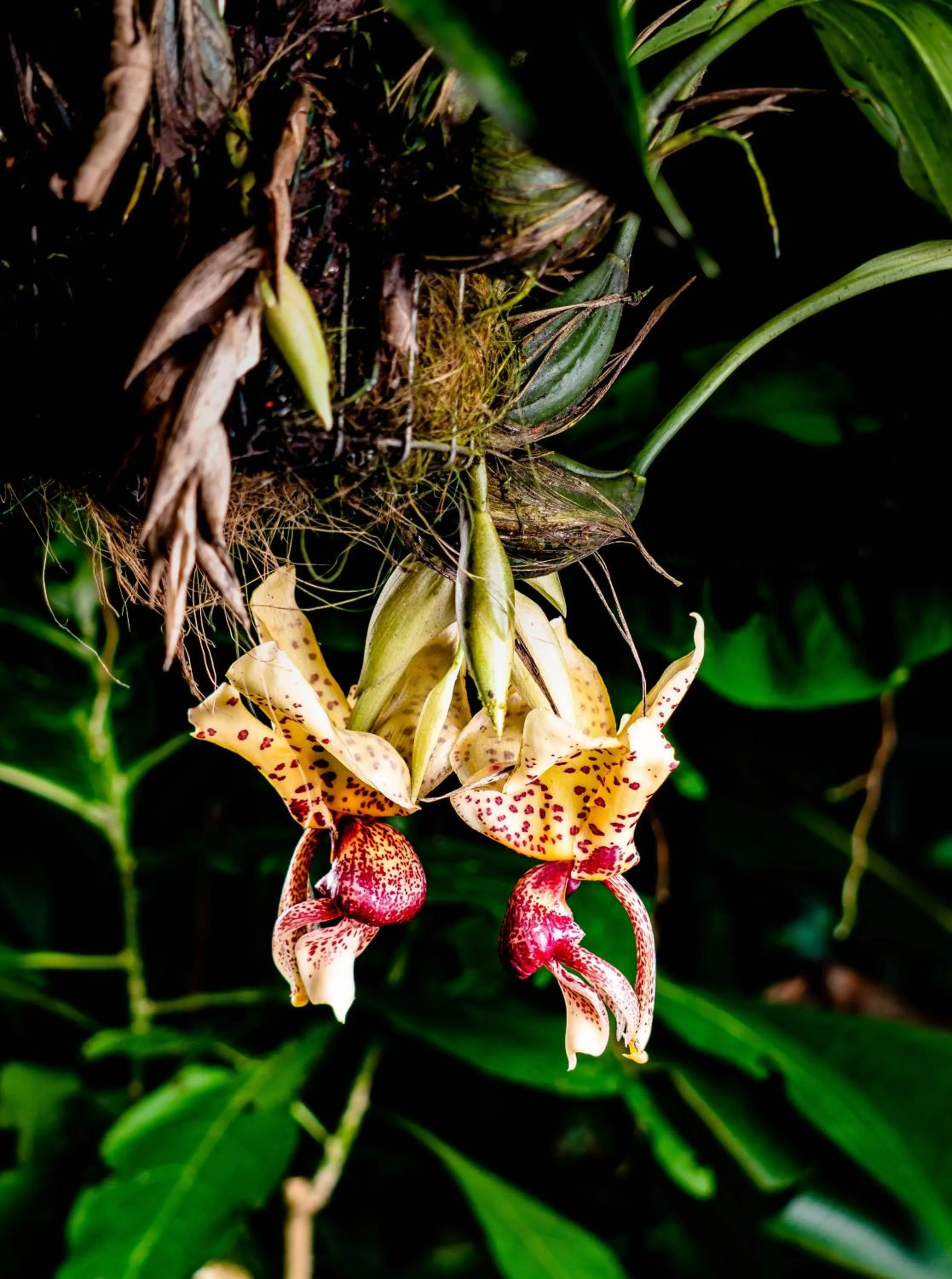 Natural landscape in Spa Hosteria Miramelindo