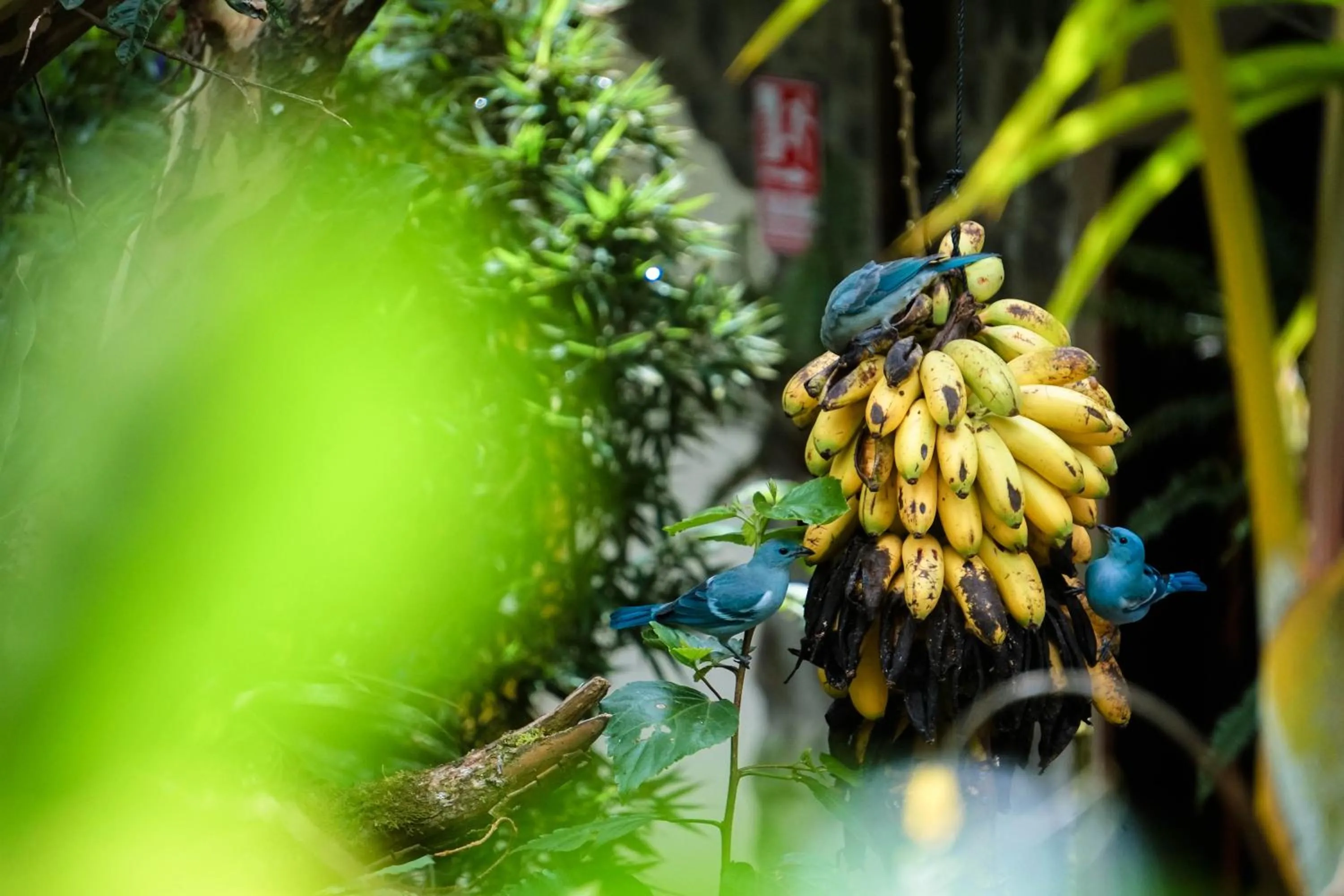 Spring in Spa Hosteria Miramelindo