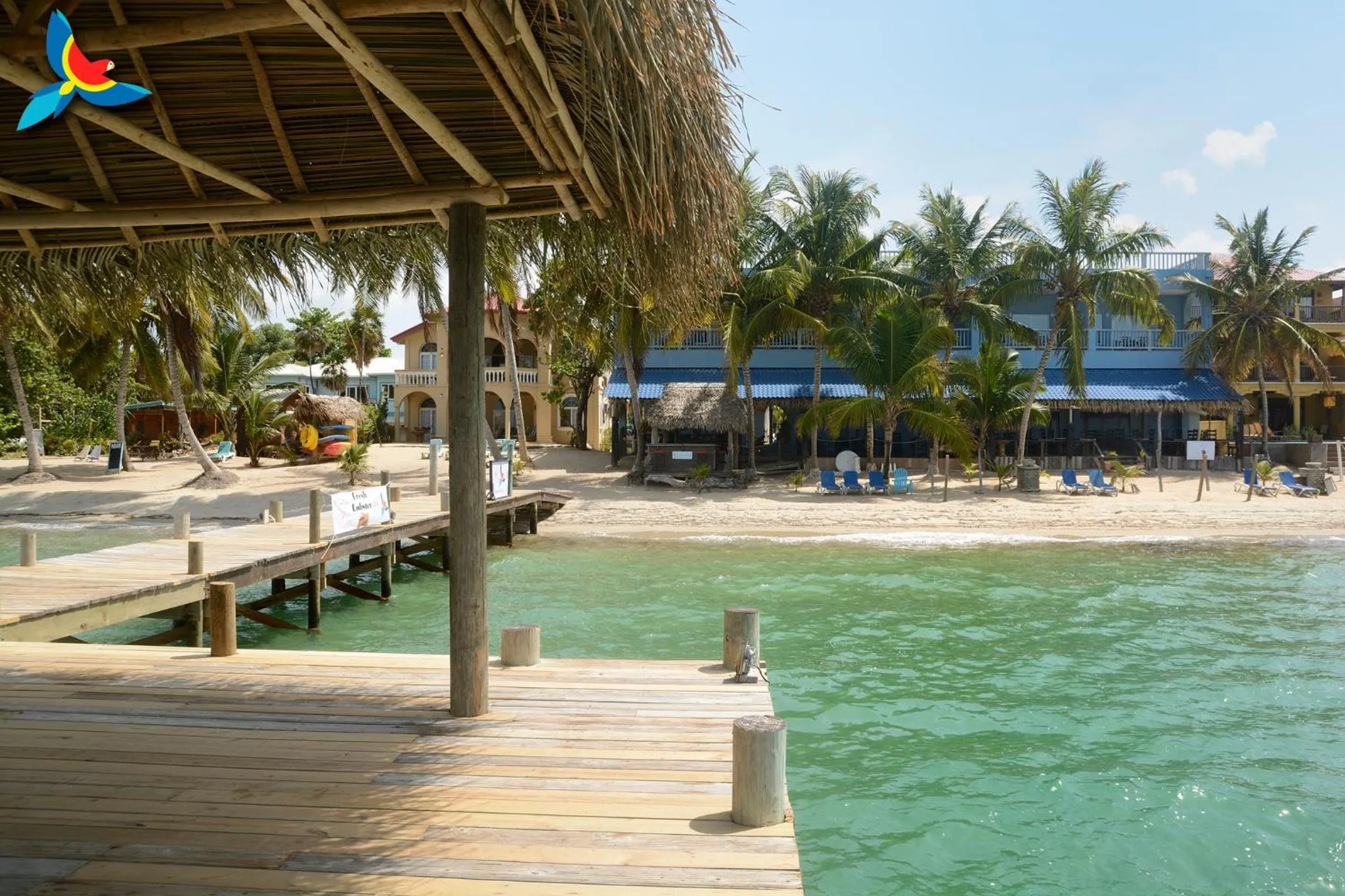 Beach in Parrot Cove Lodge