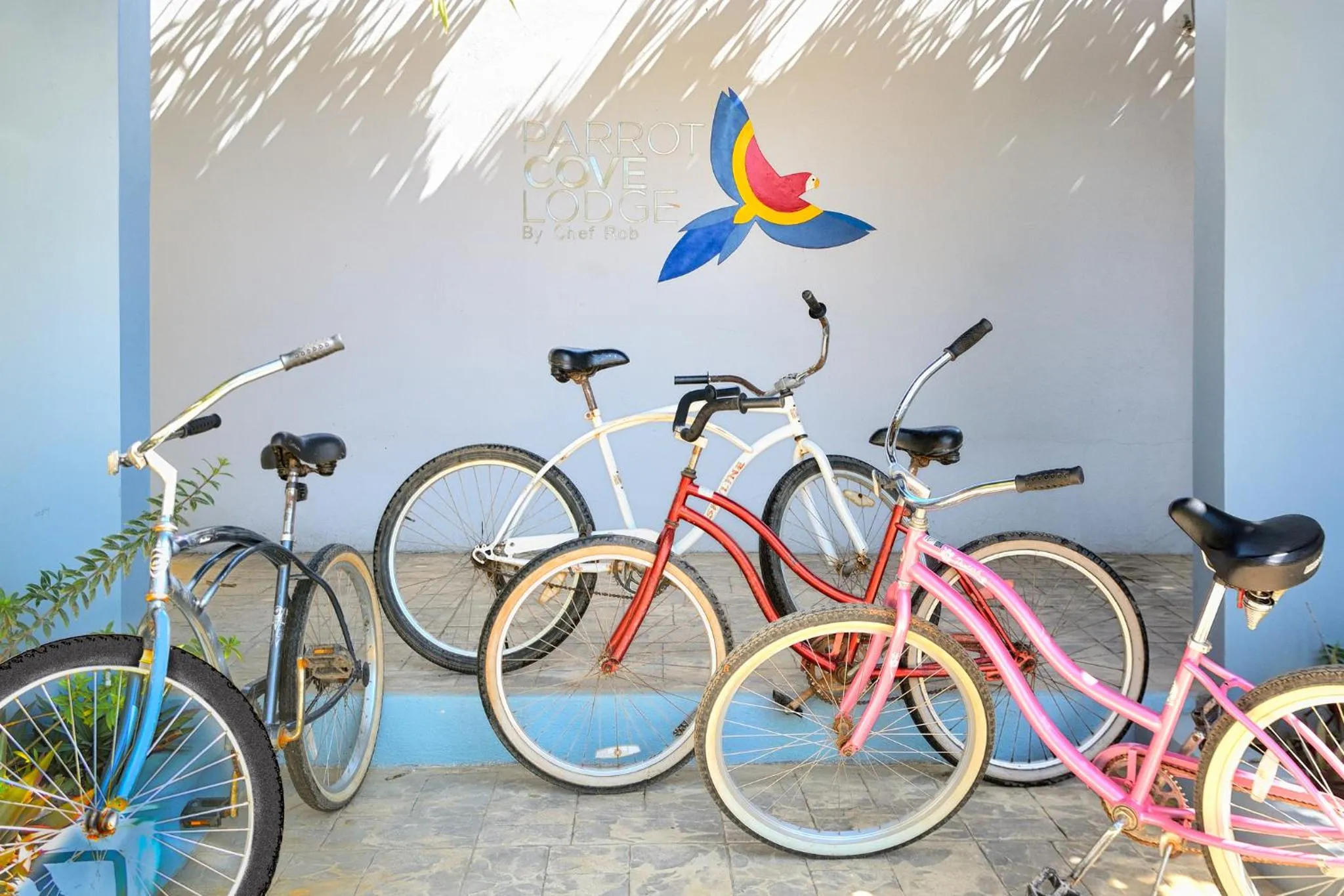 Cycling in Parrot Cove Lodge