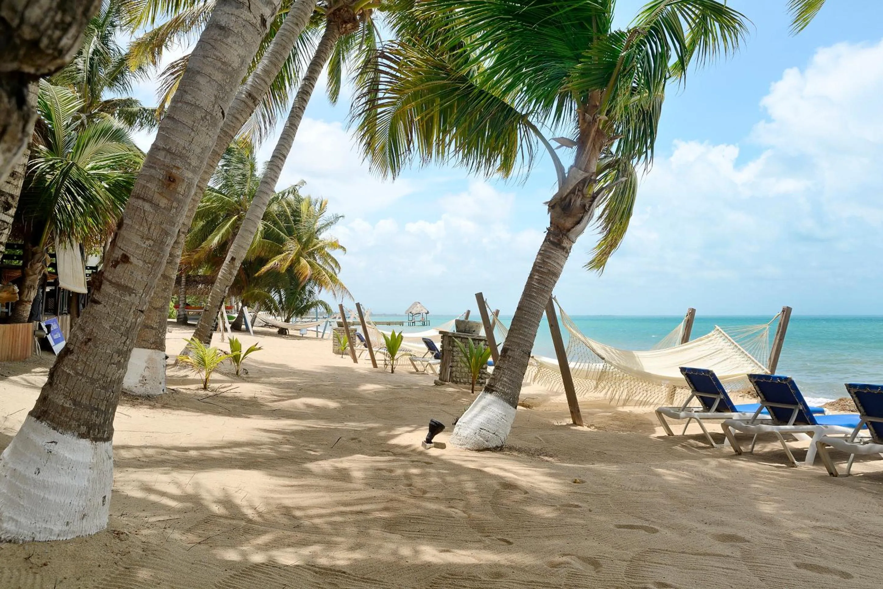 Beach in Parrot Cove Lodge