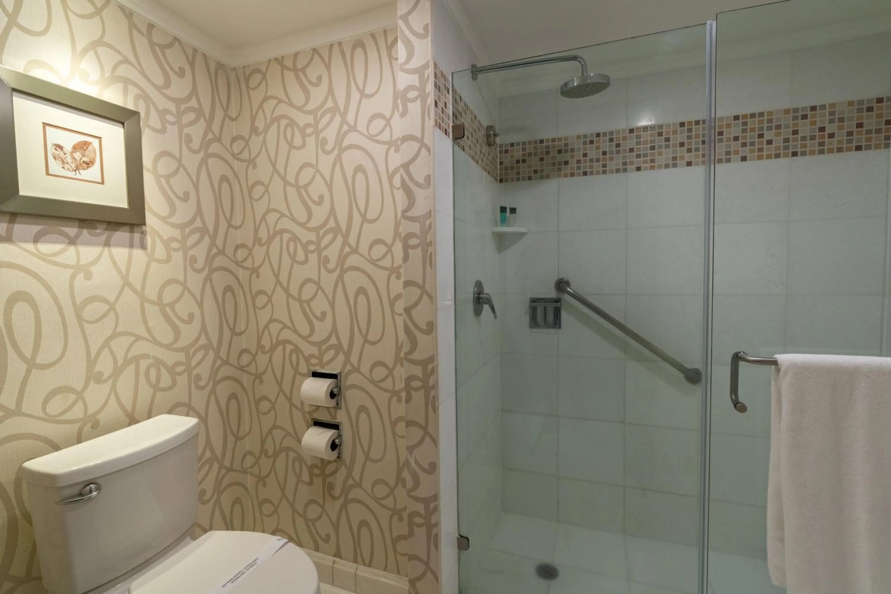 Shower in Barcelo Guadalajara