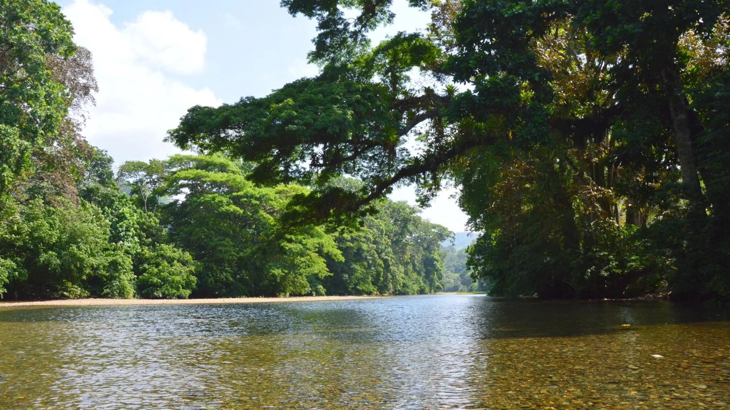 Nearby landmark in Hotel Villas Rio Mar