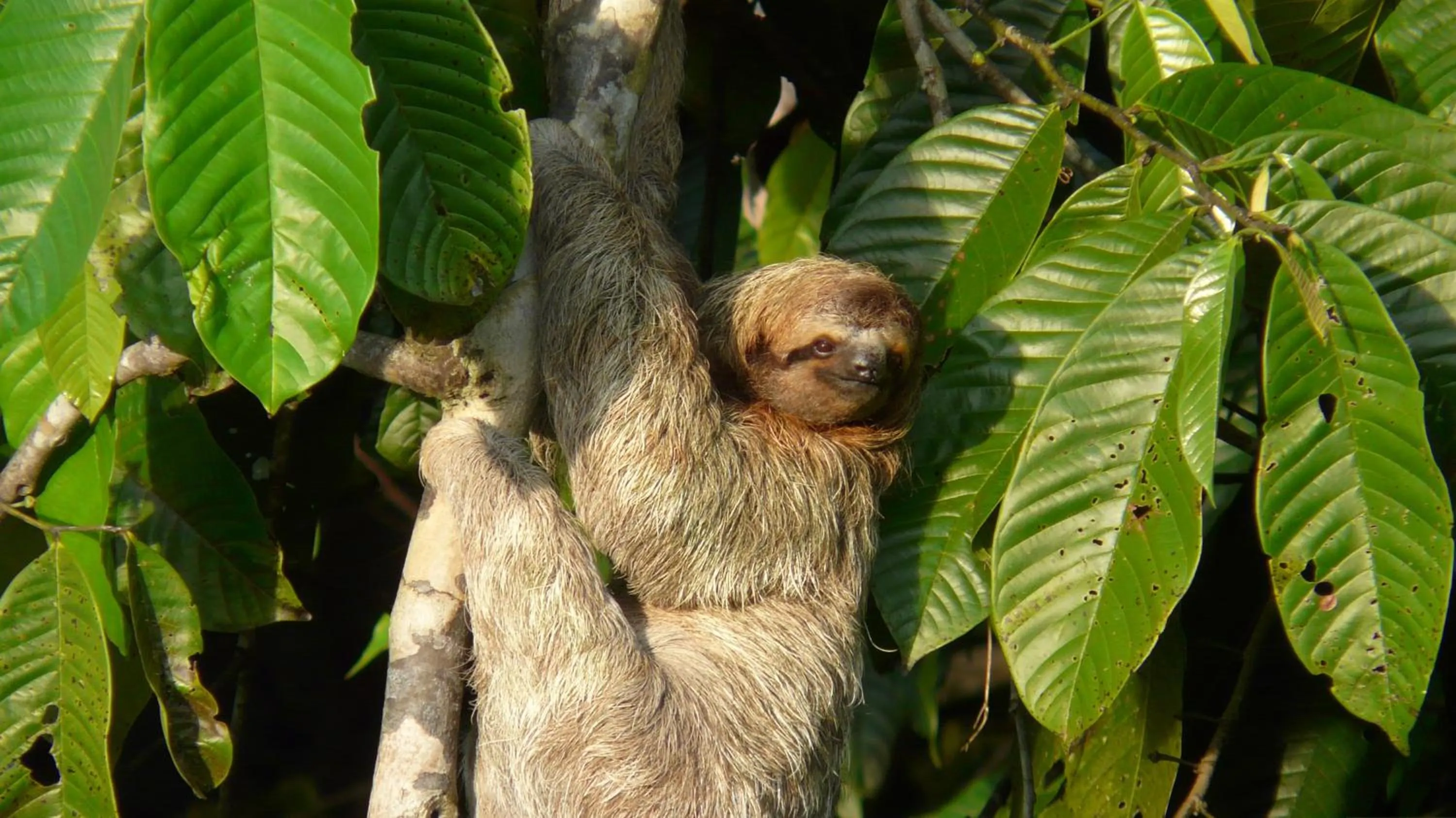 Natural landscape in Hotel Villas Rio Mar