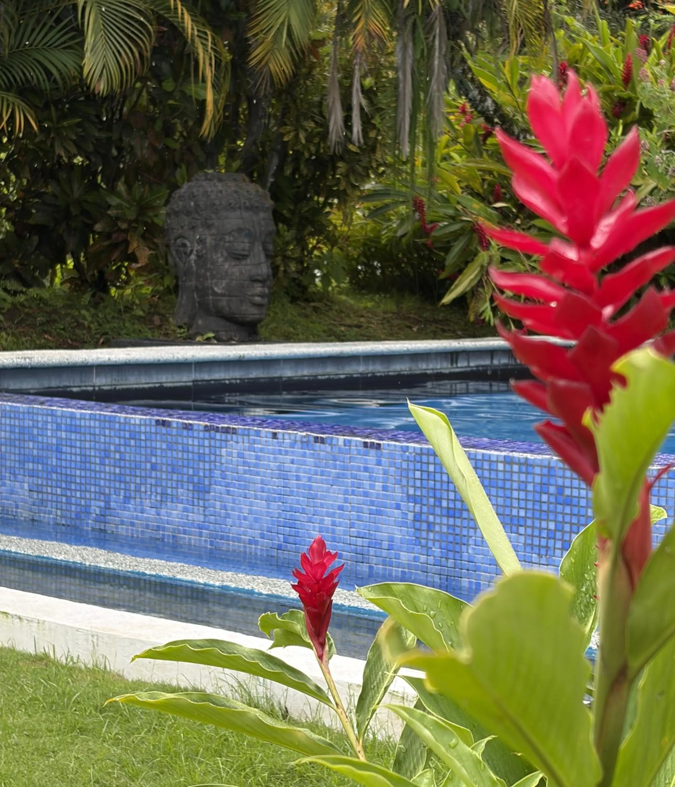 Garden in Hotel Villas Rio Mar