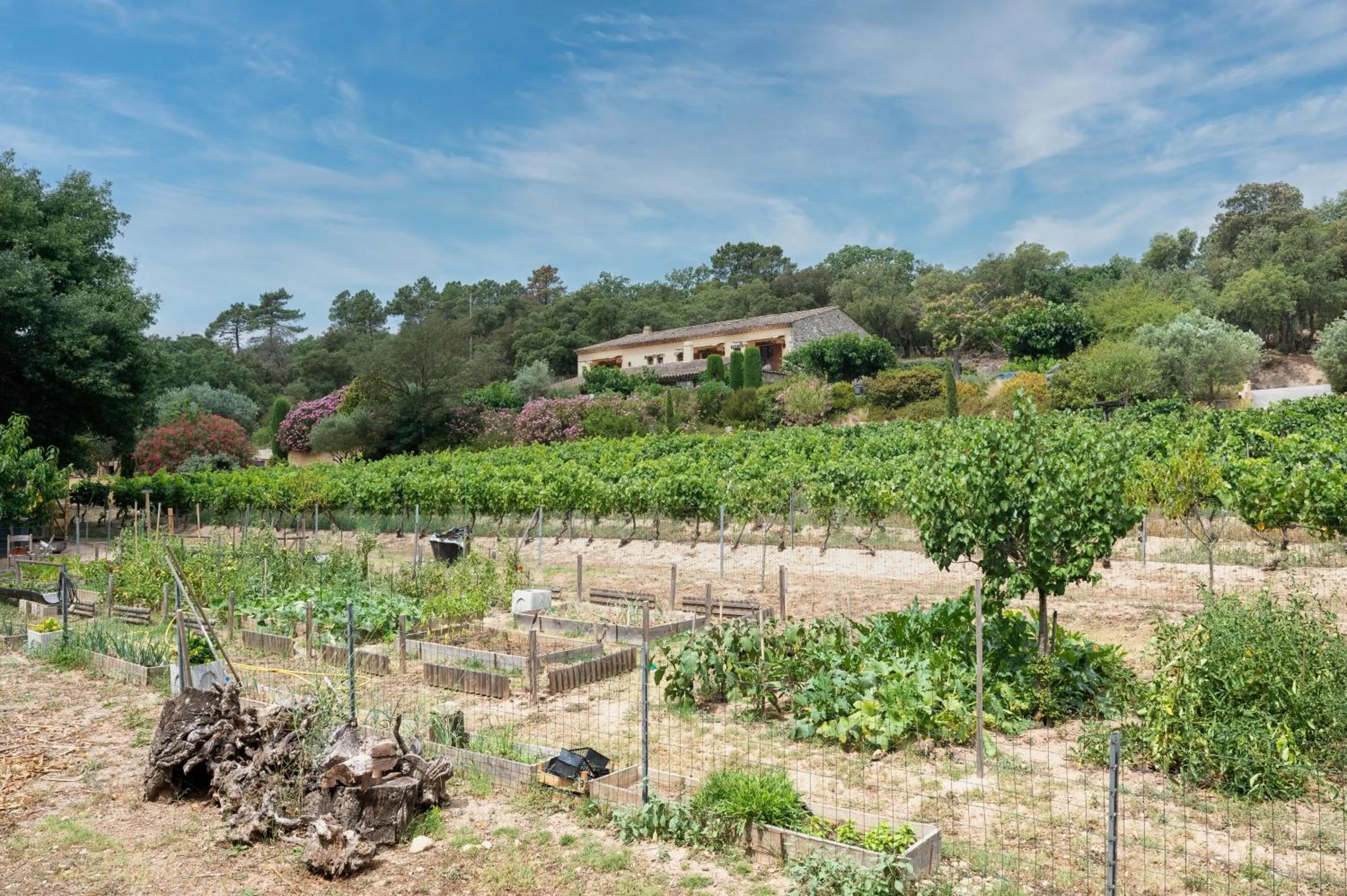Garden in La Bergerie