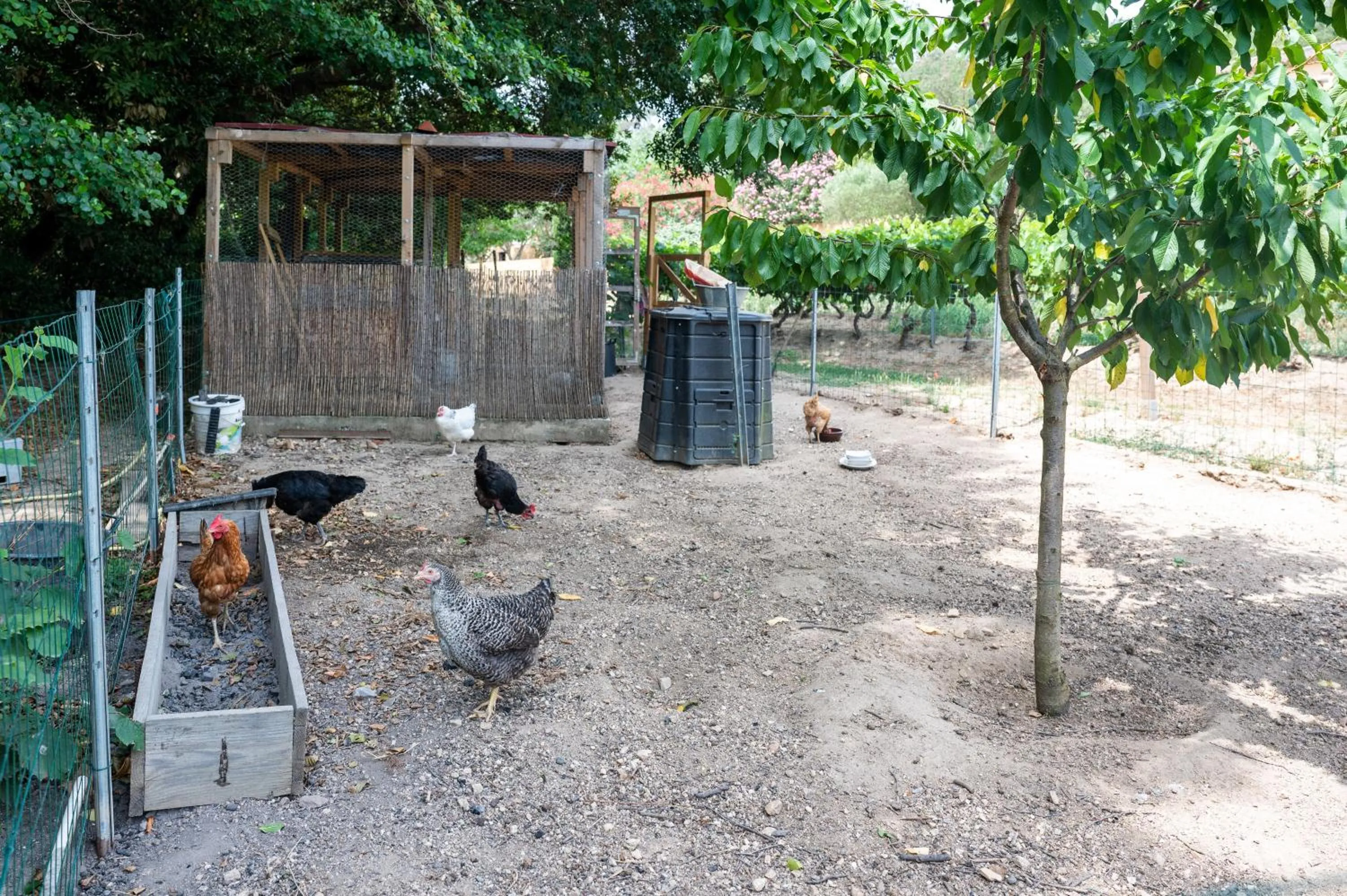 Garden in La Bergerie