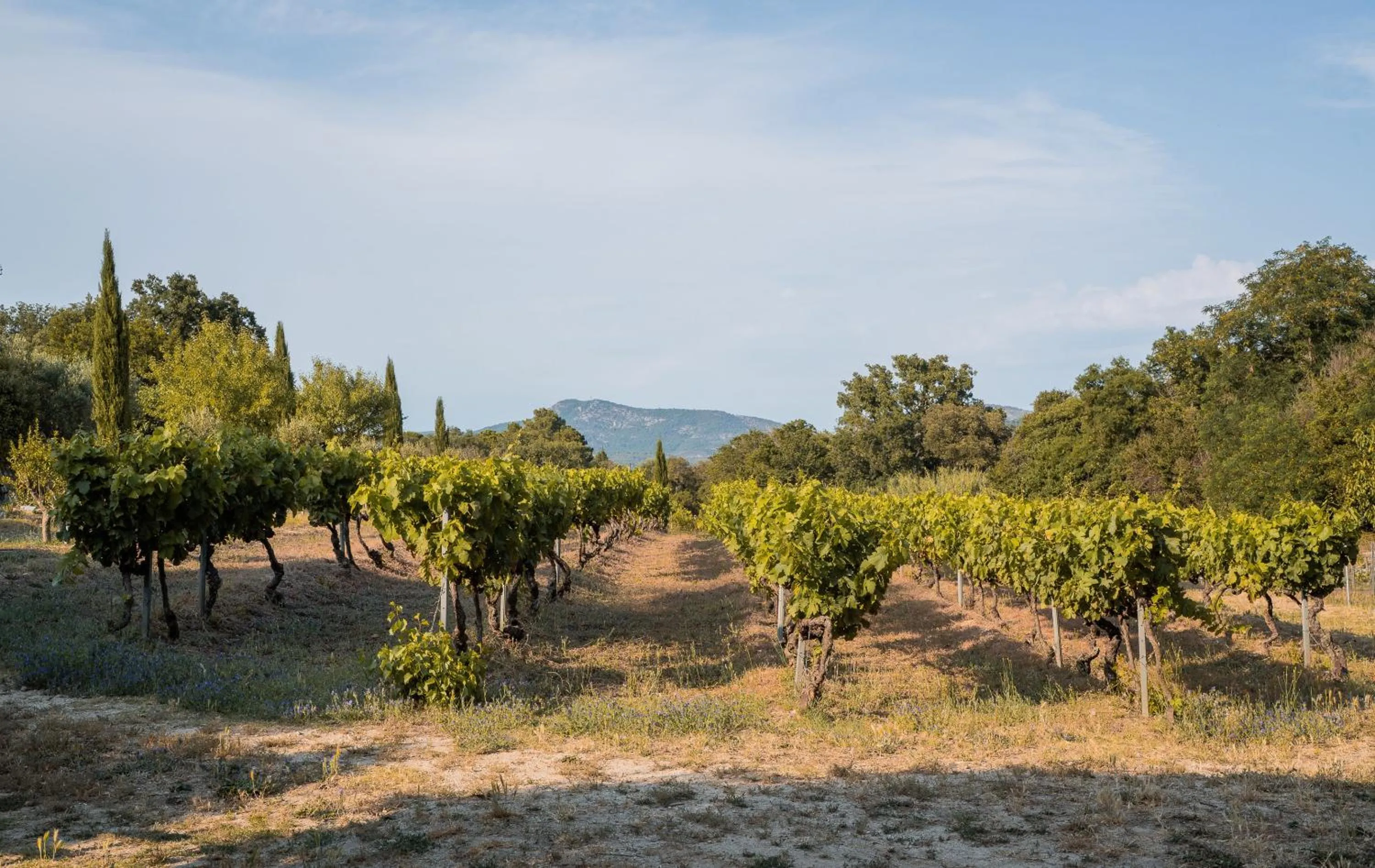 Natural landscape in La Bergerie
