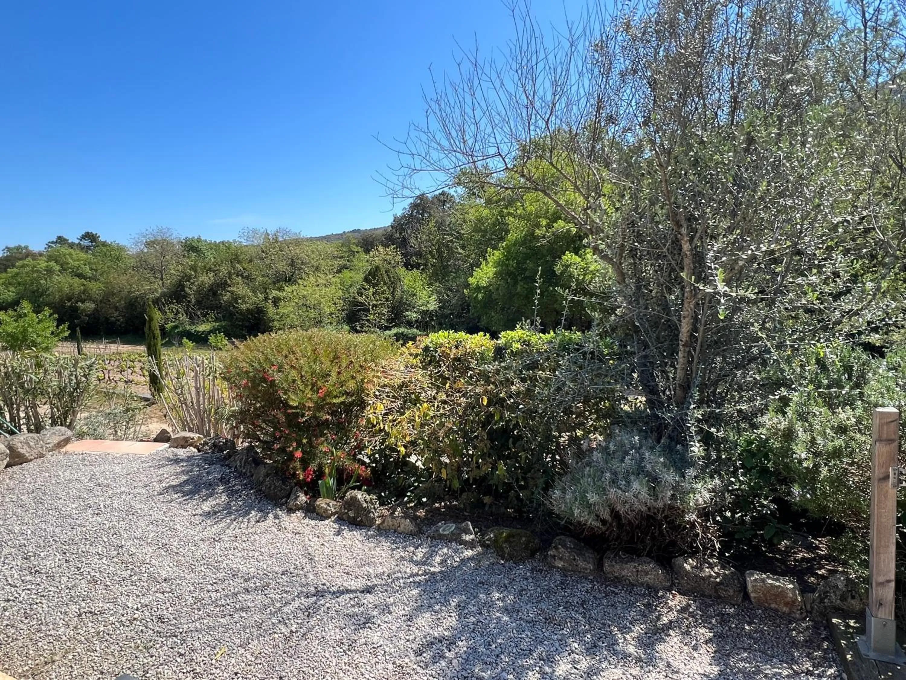 Natural landscape in La Bergerie