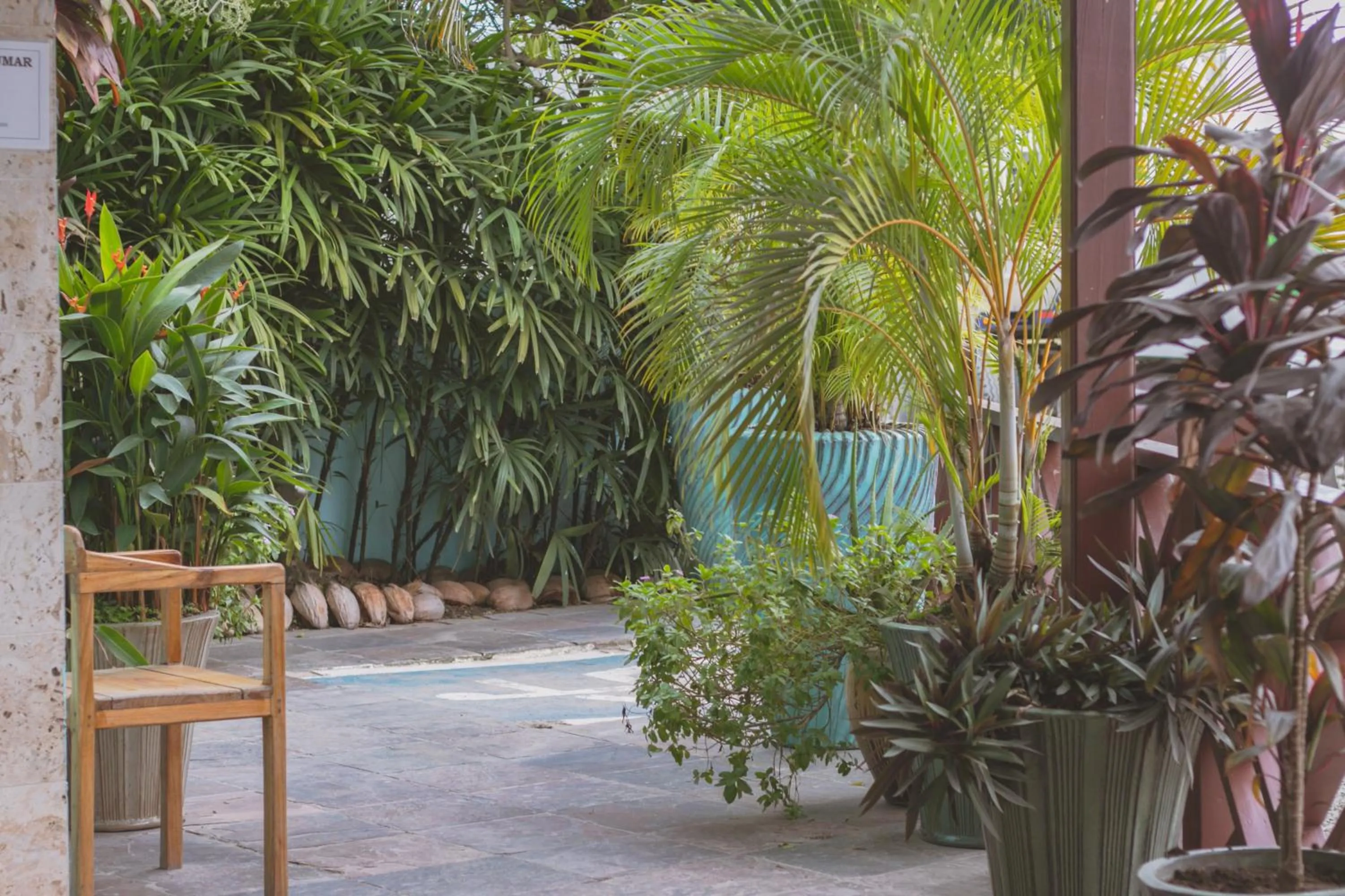 Garden in Hotel Palma Royale