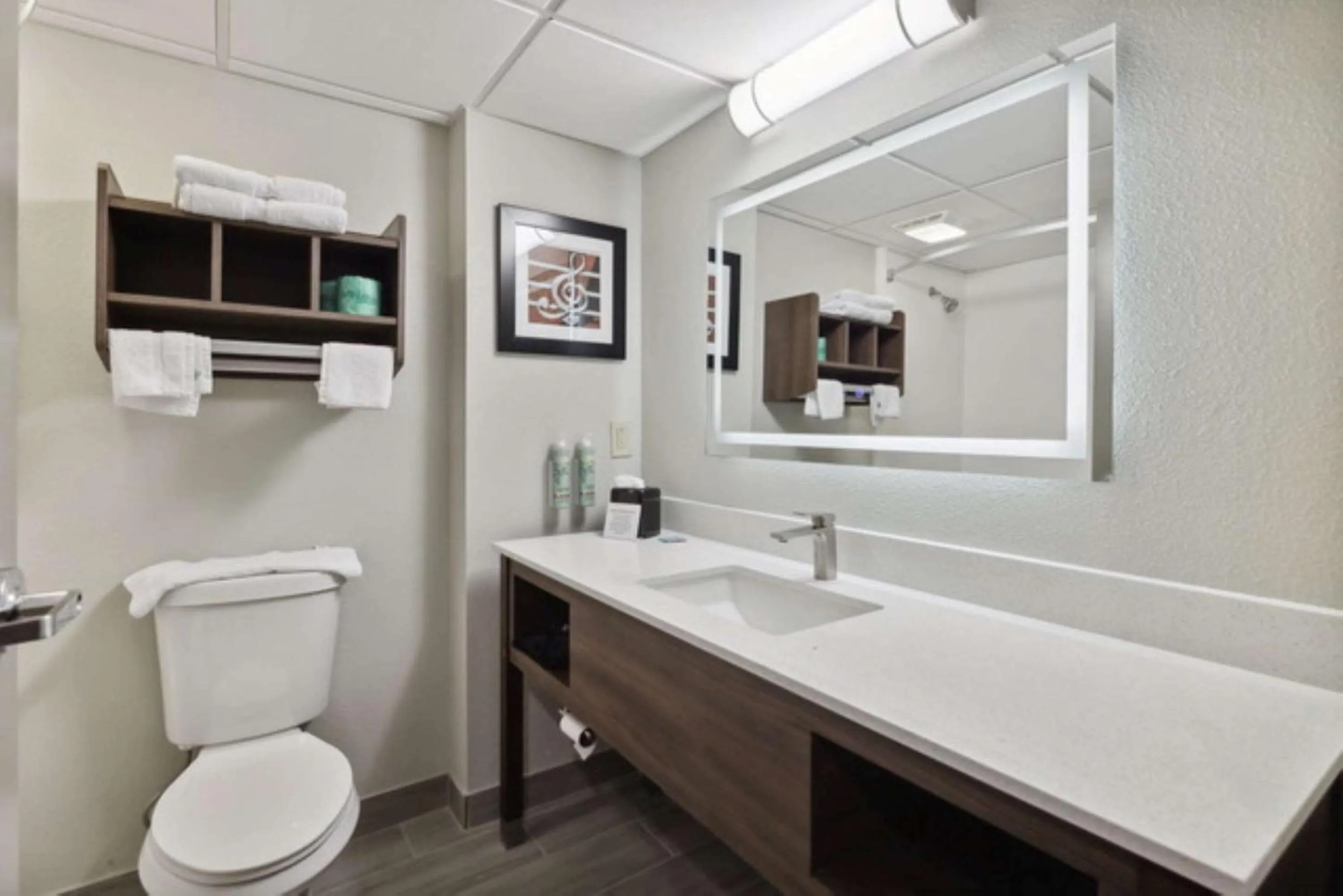 Bathroom in Red Roof Inn & Suites Manchester, TN