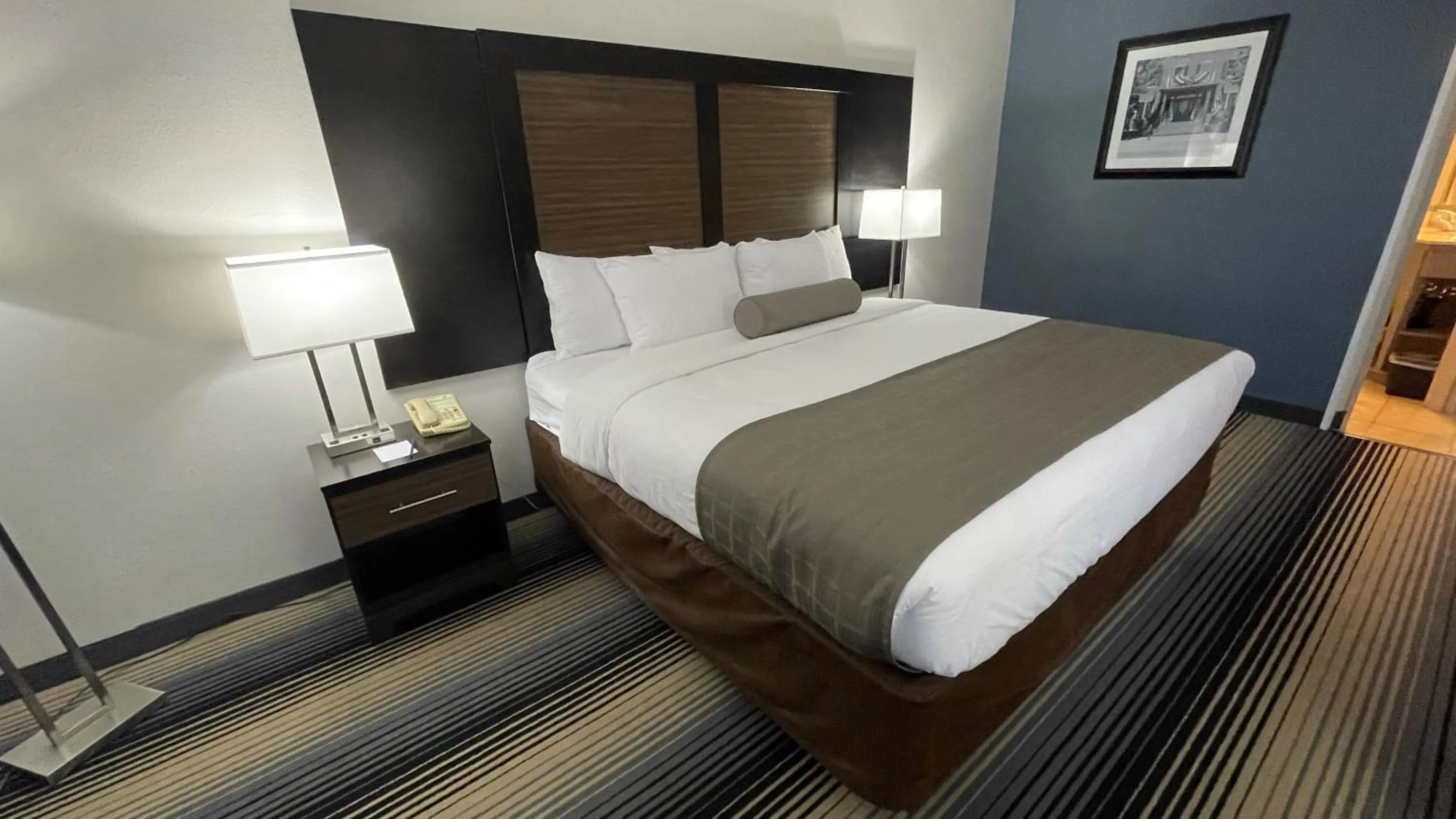 Standard King Room - Non Smoking in Sleep Inn