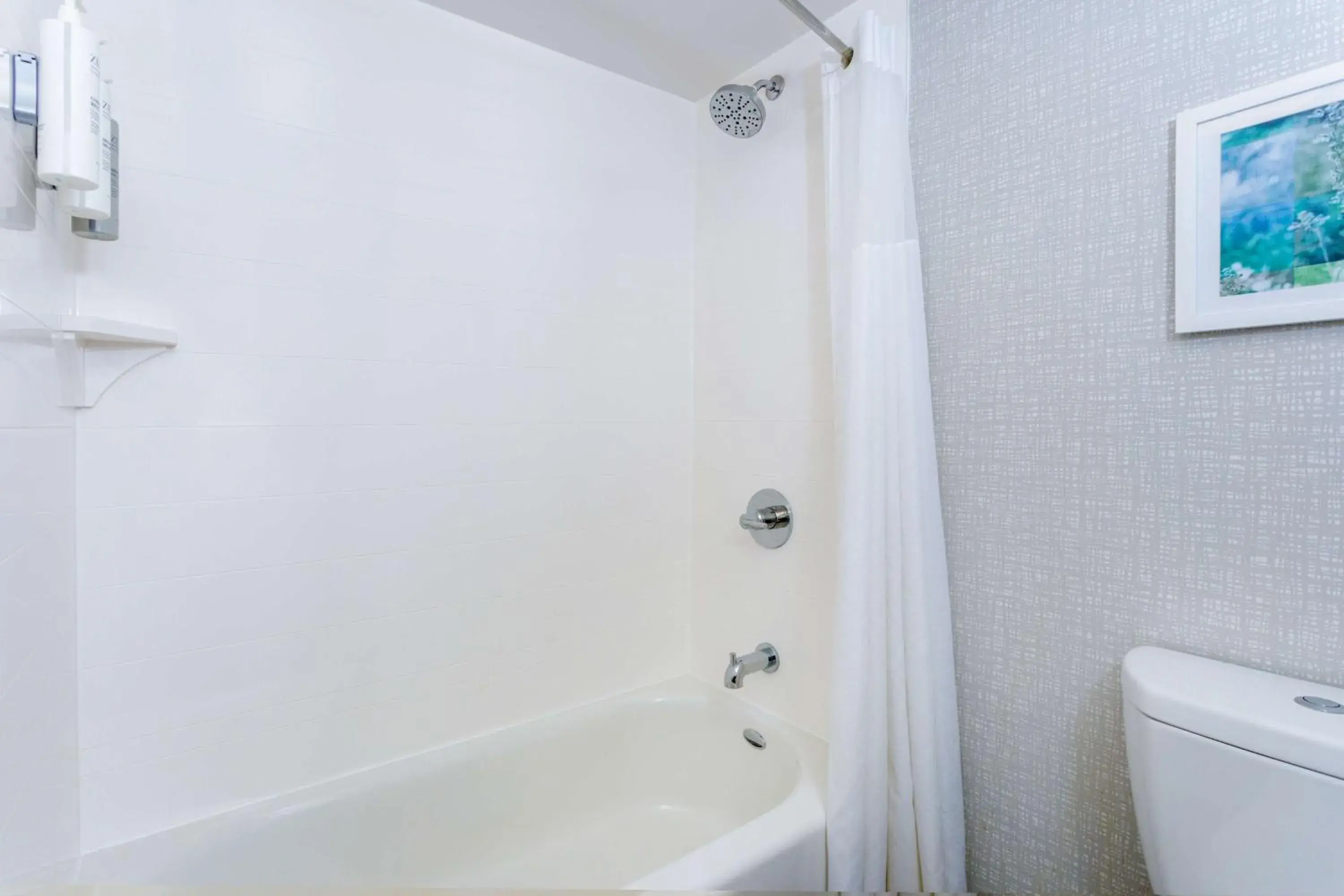 Bathroom in Hampton Inn Jacksonville - I-95 Central Bathroom in Hampton Inn Jacksonville - I-95 Central