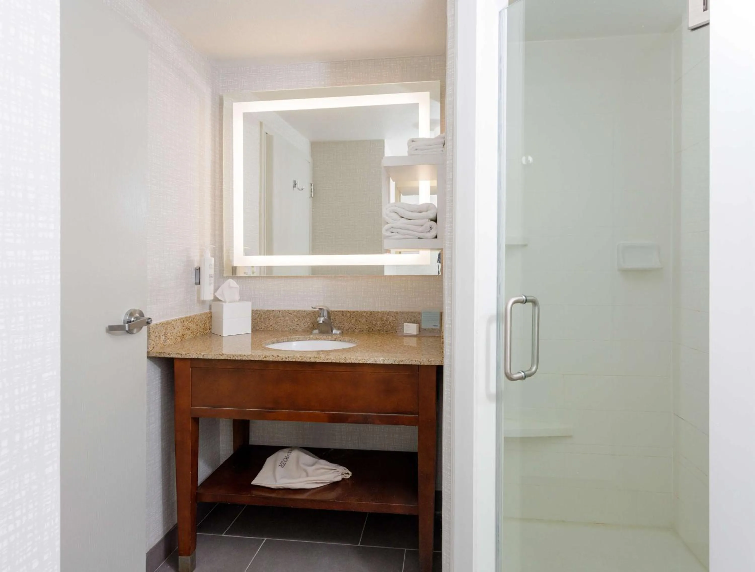 Bathroom in Hampton Inn Jacksonville - I-95 Central