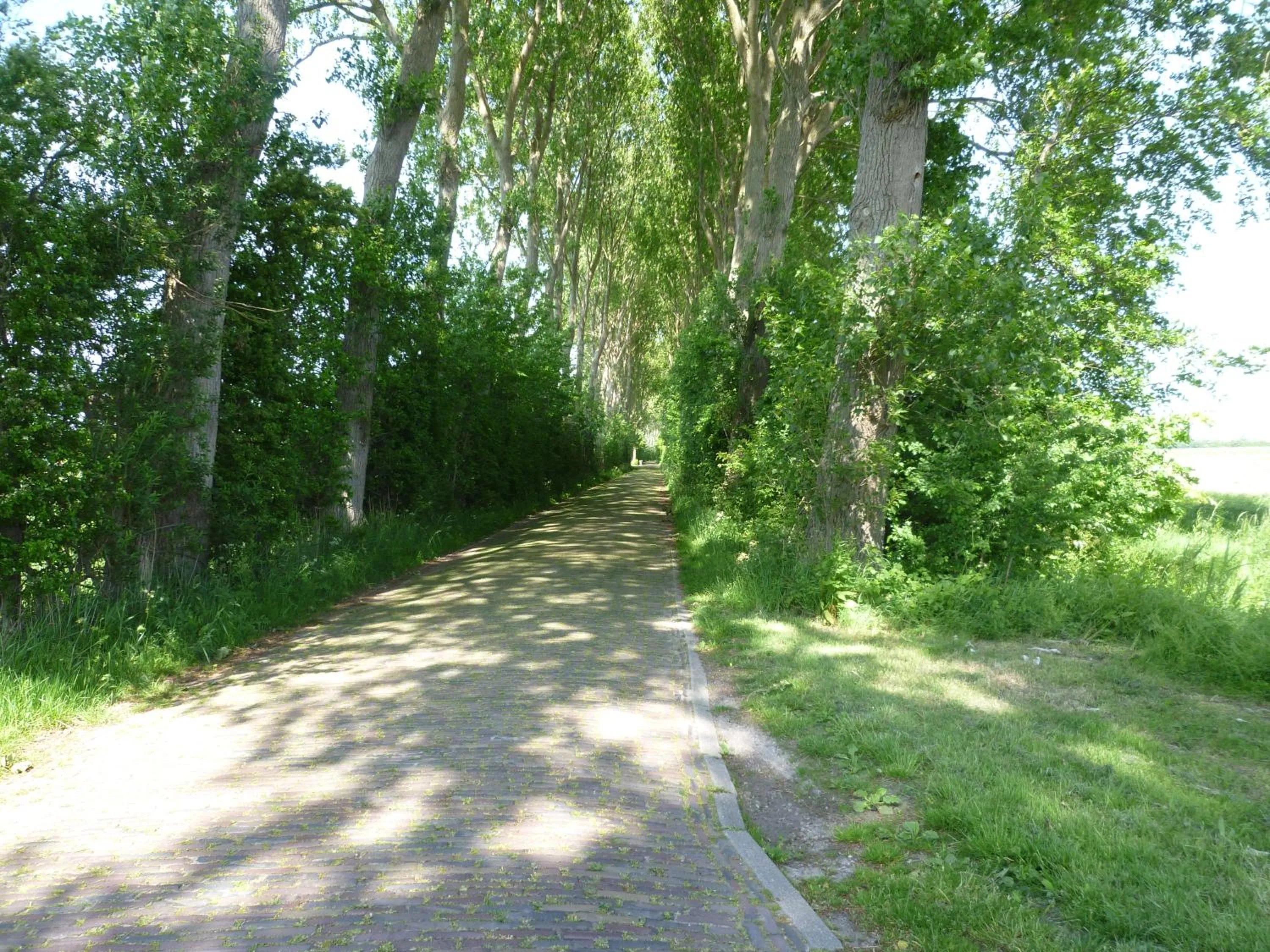 Natural landscape in Smaakvol Vakantiehuis Serooskerke SE06