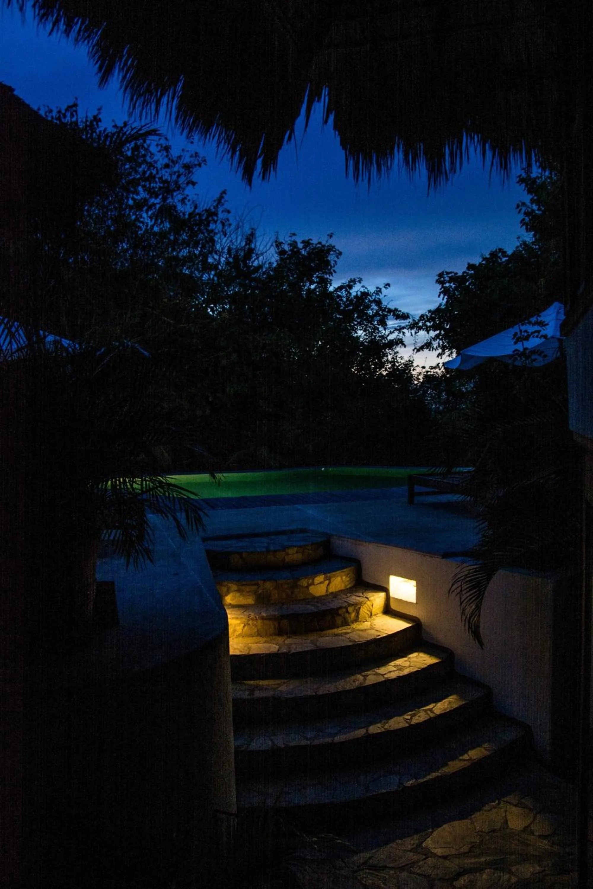 Garden view in El Alquimista Yoga Spa