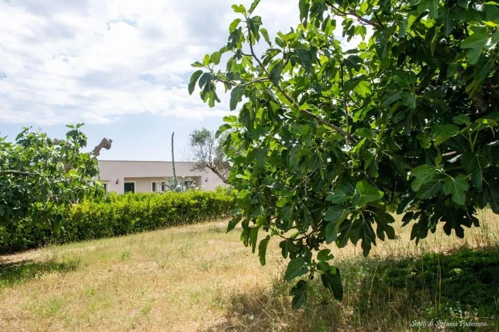 B&B Li Fichi Alezio/Gallipoli