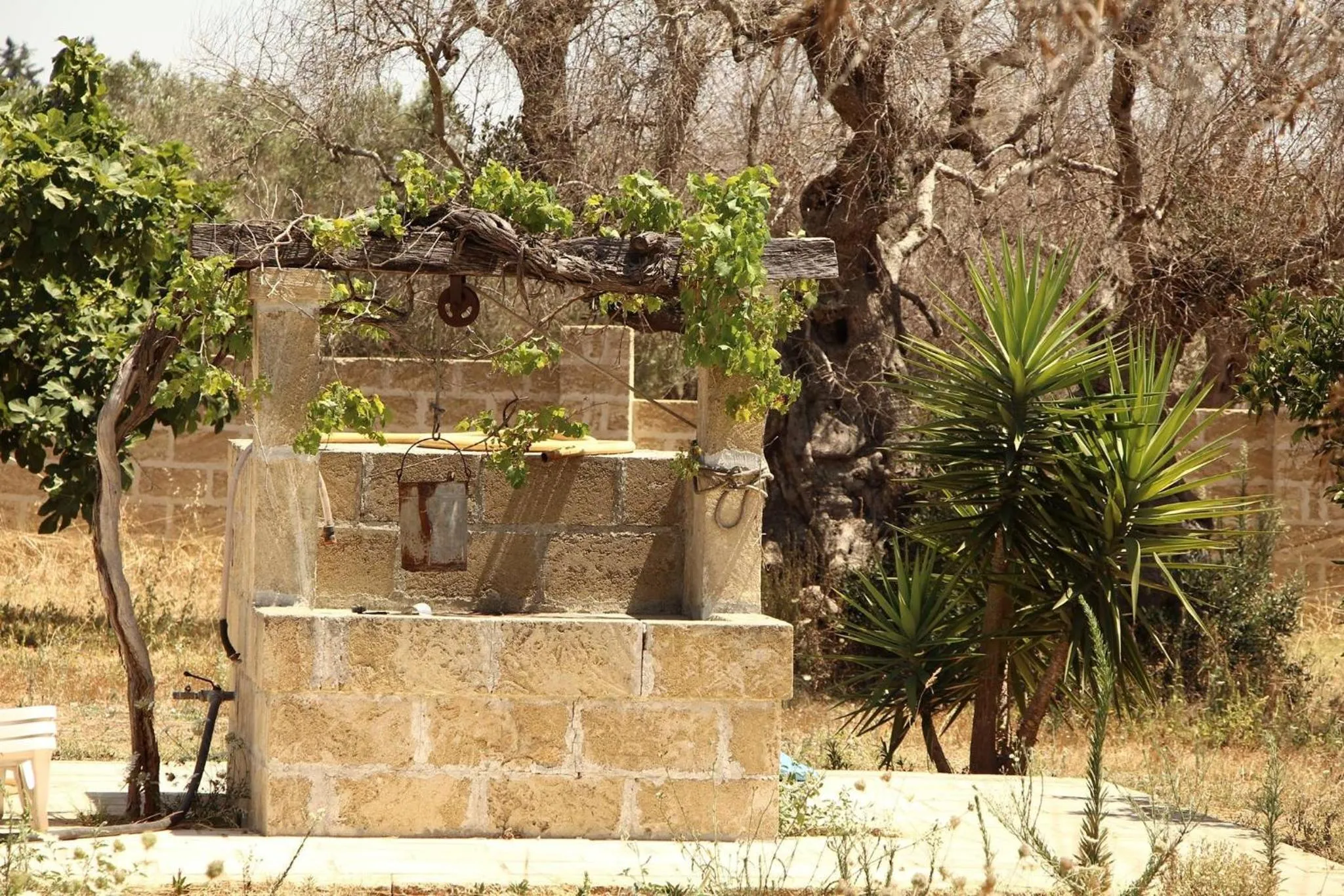 Property building in B&B Li Fichi Alezio/Gallipoli