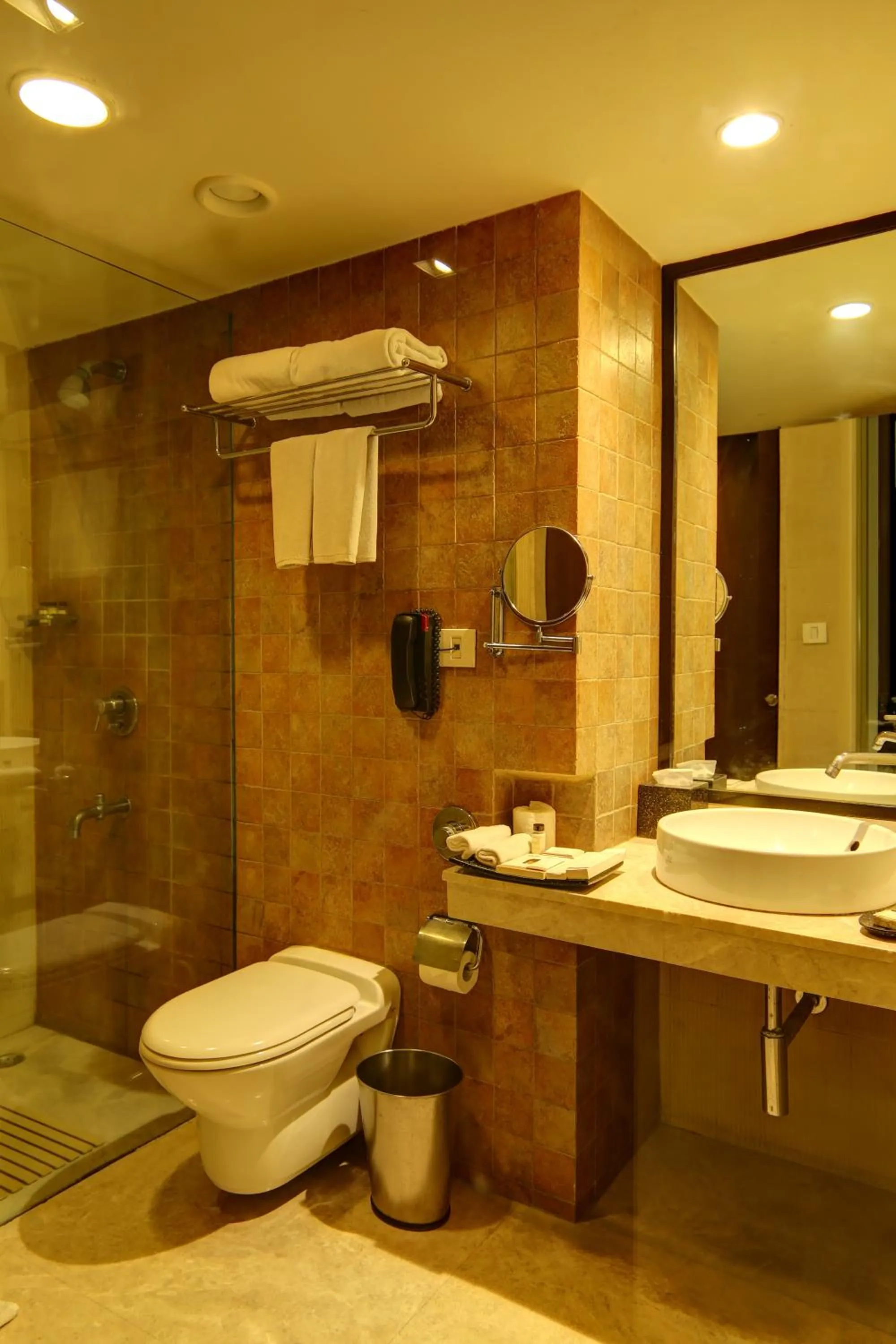 Bathroom in Mosaic Original,Noida